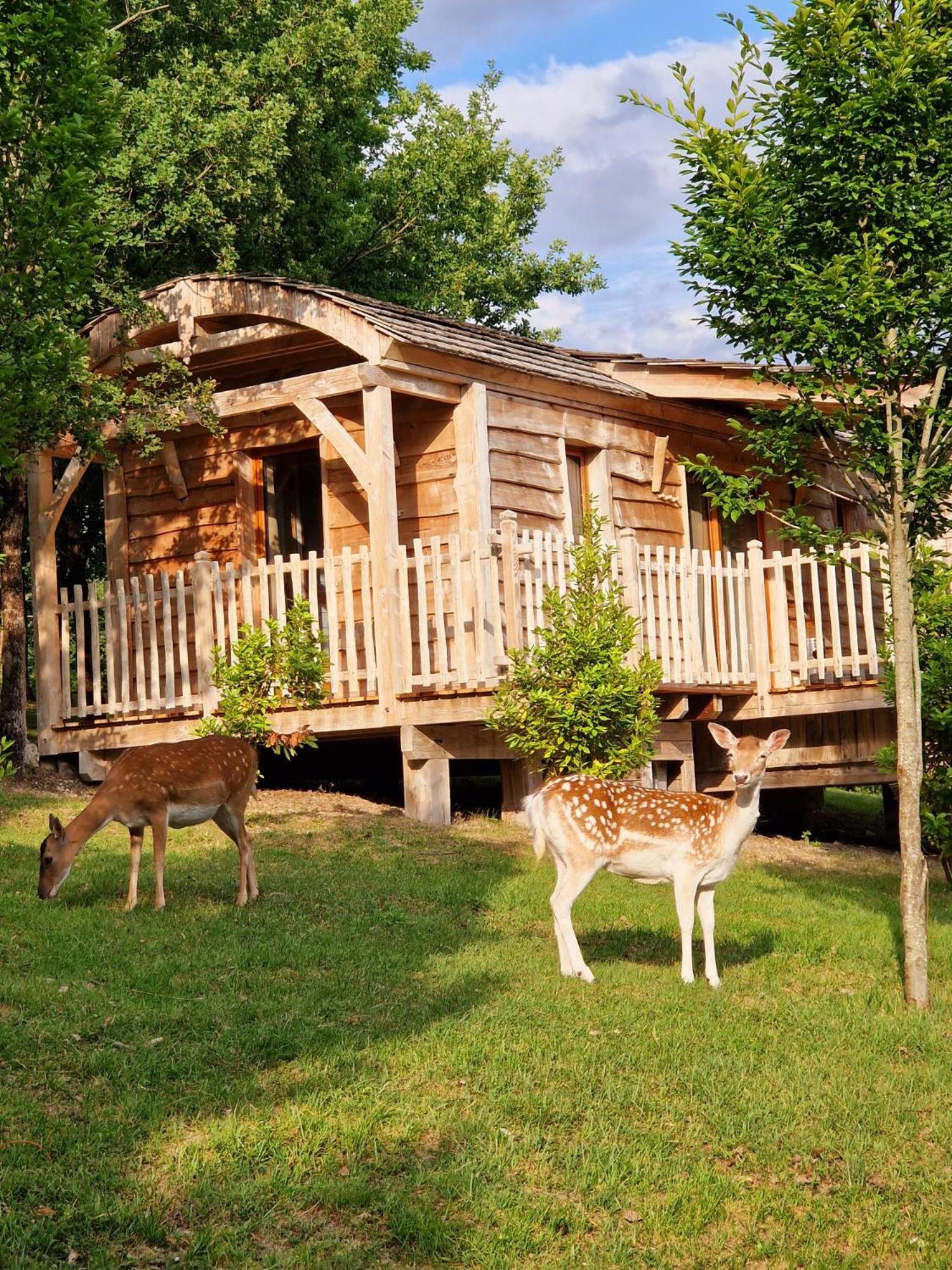 Domaine de Pech et Lafon Cabanes avec SPA privatif dans les arbres