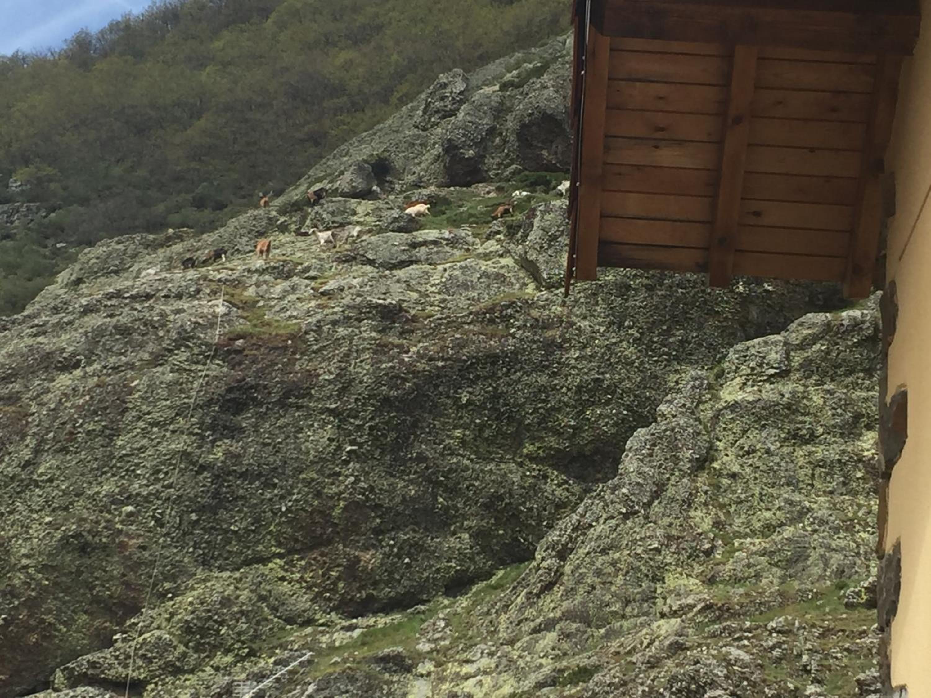 El Invernal de Picos