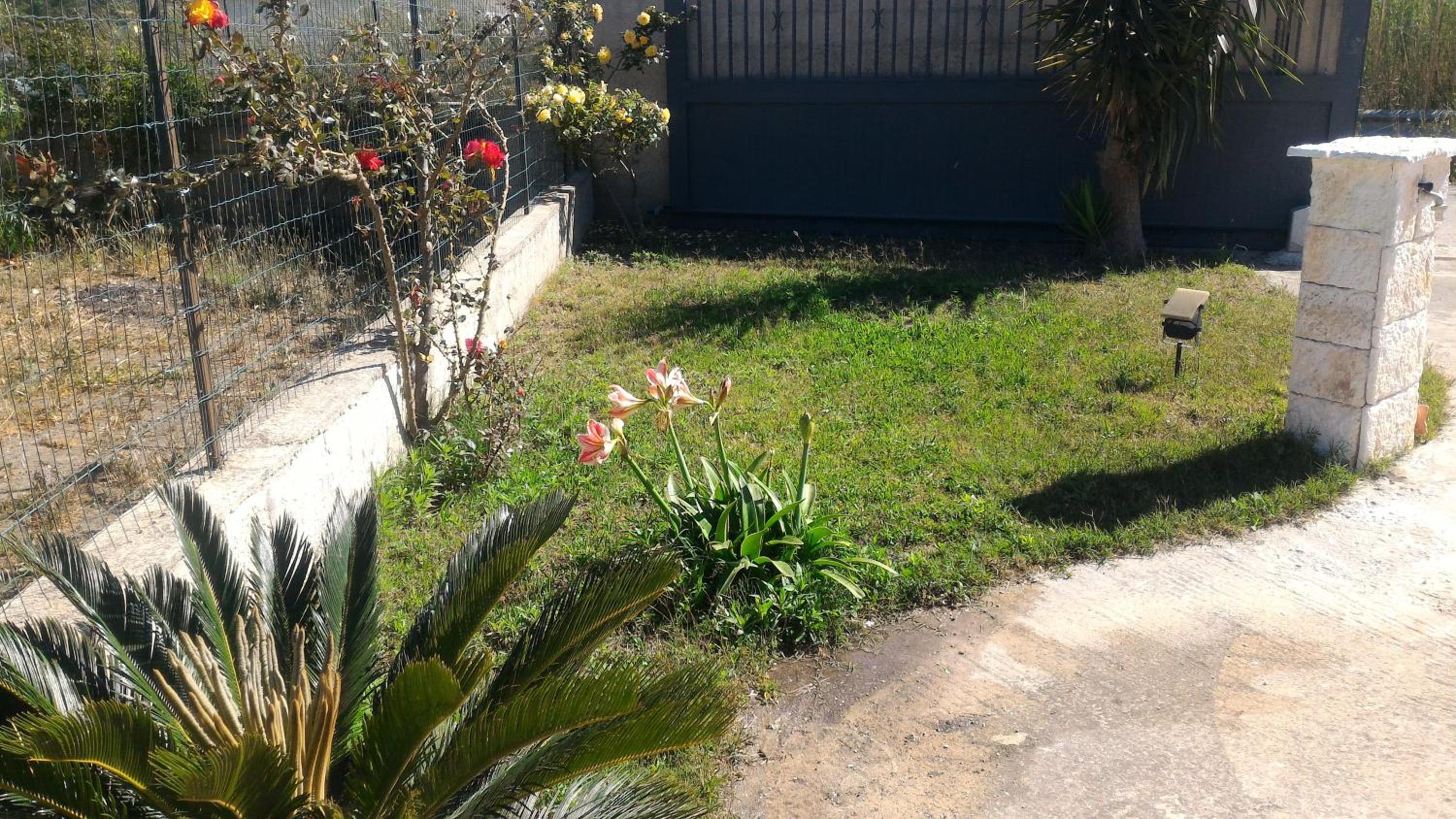 Photo 21