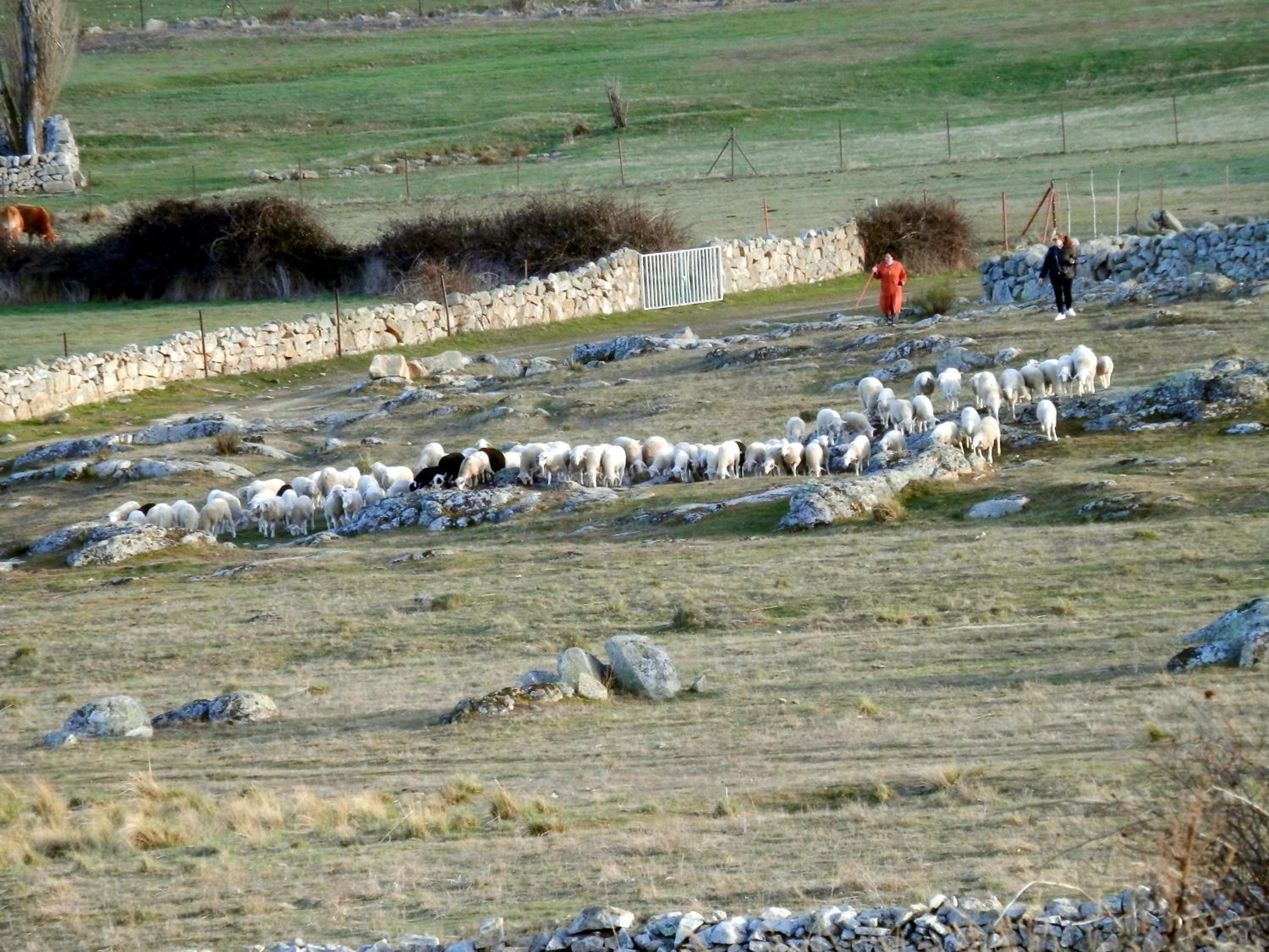 Casa Rural El Dolmen