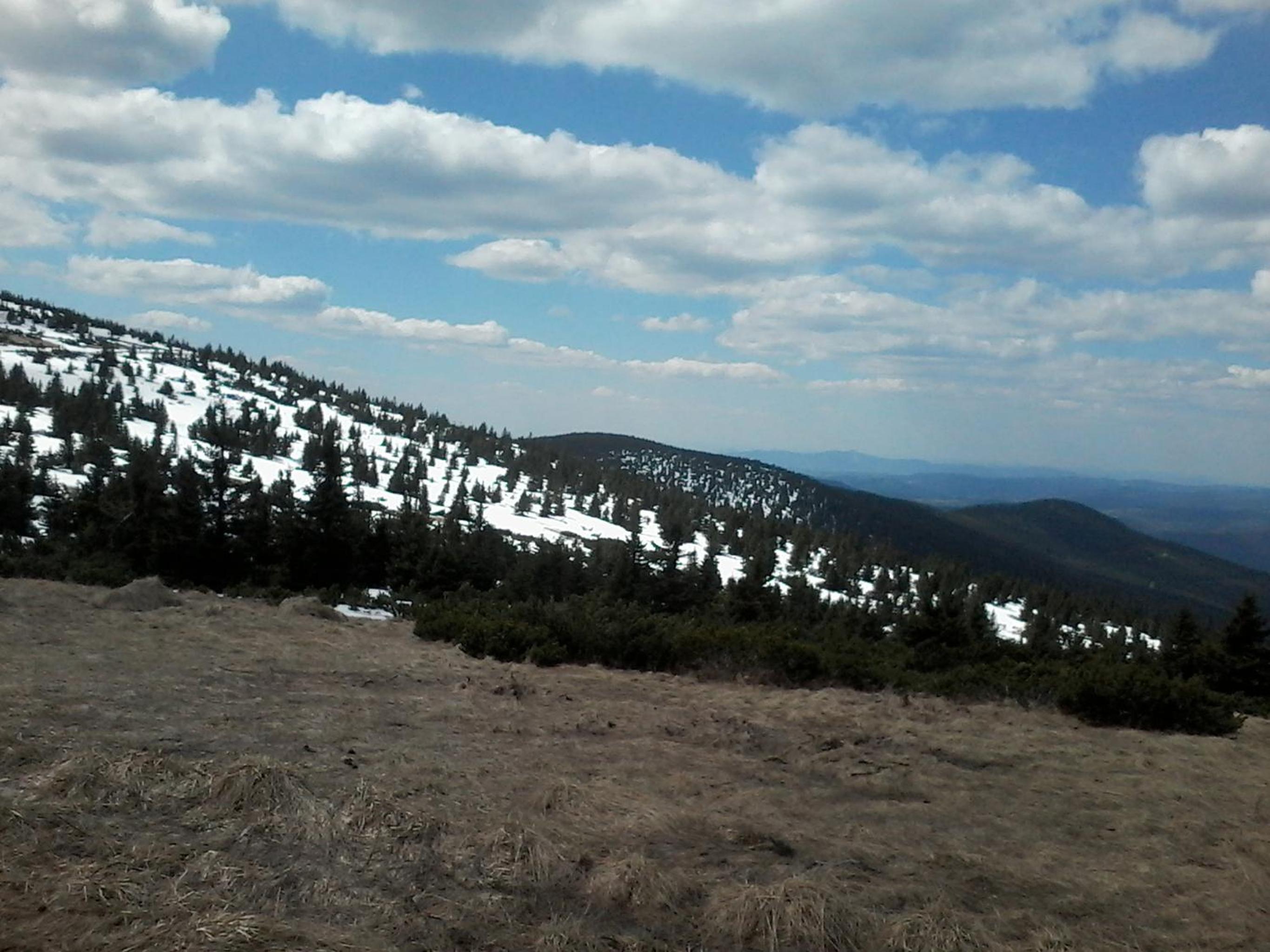 Photo 46