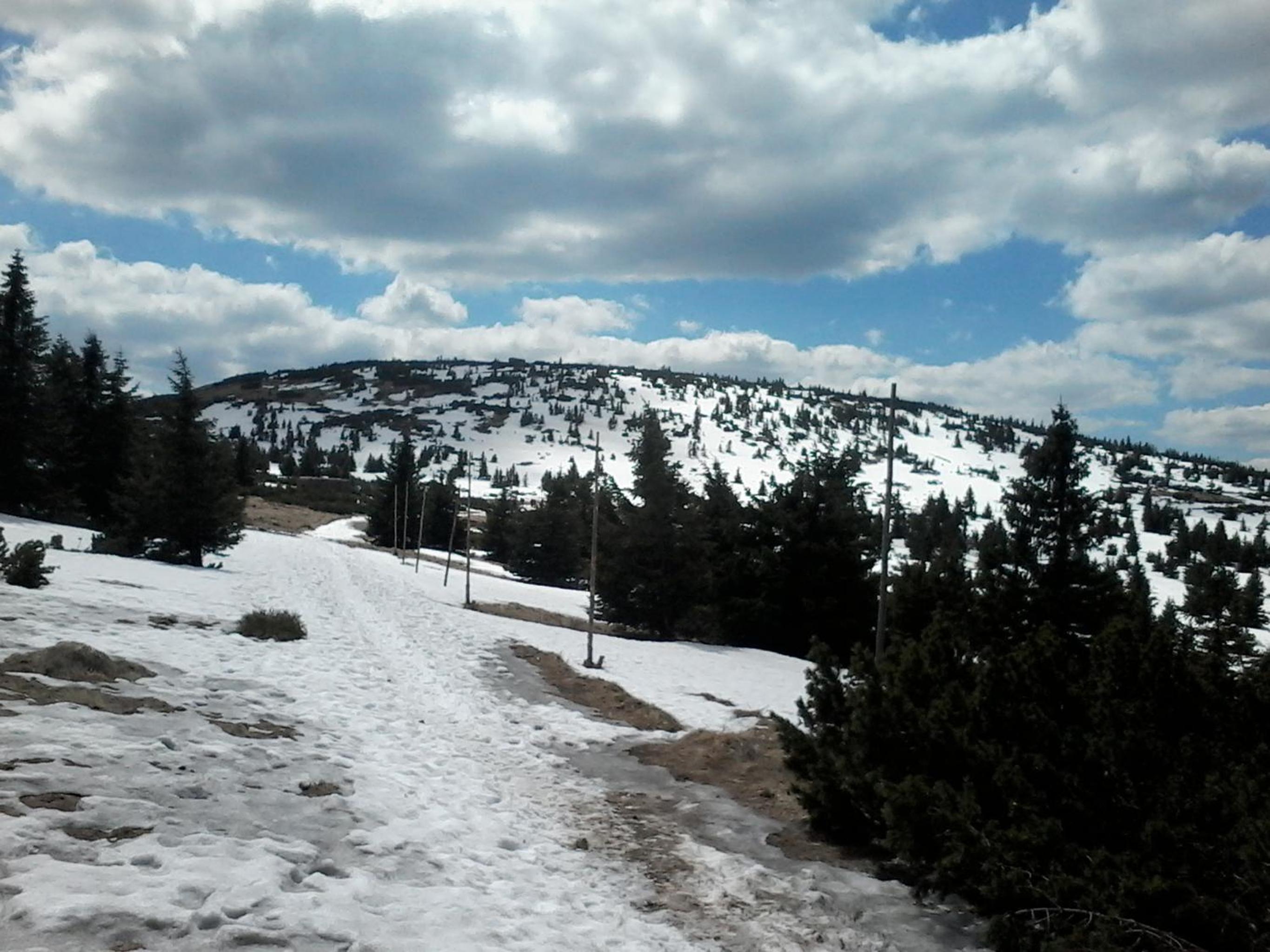 Photo 47