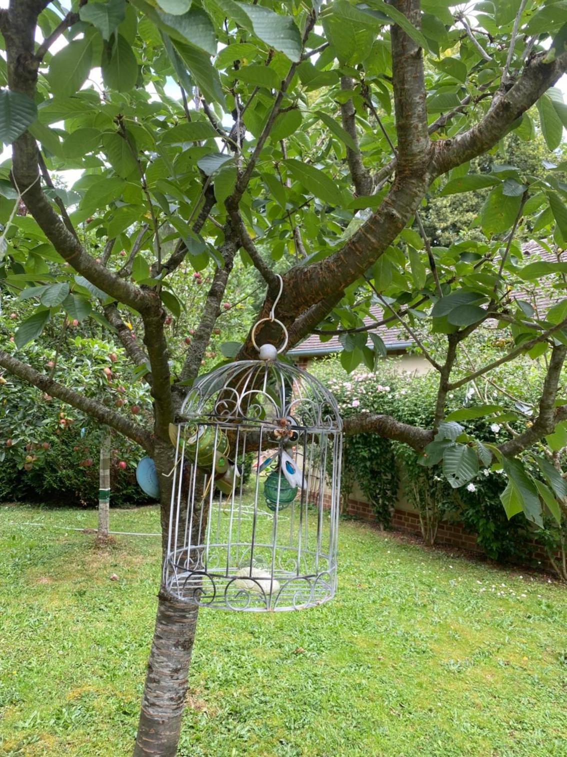 Photo 11