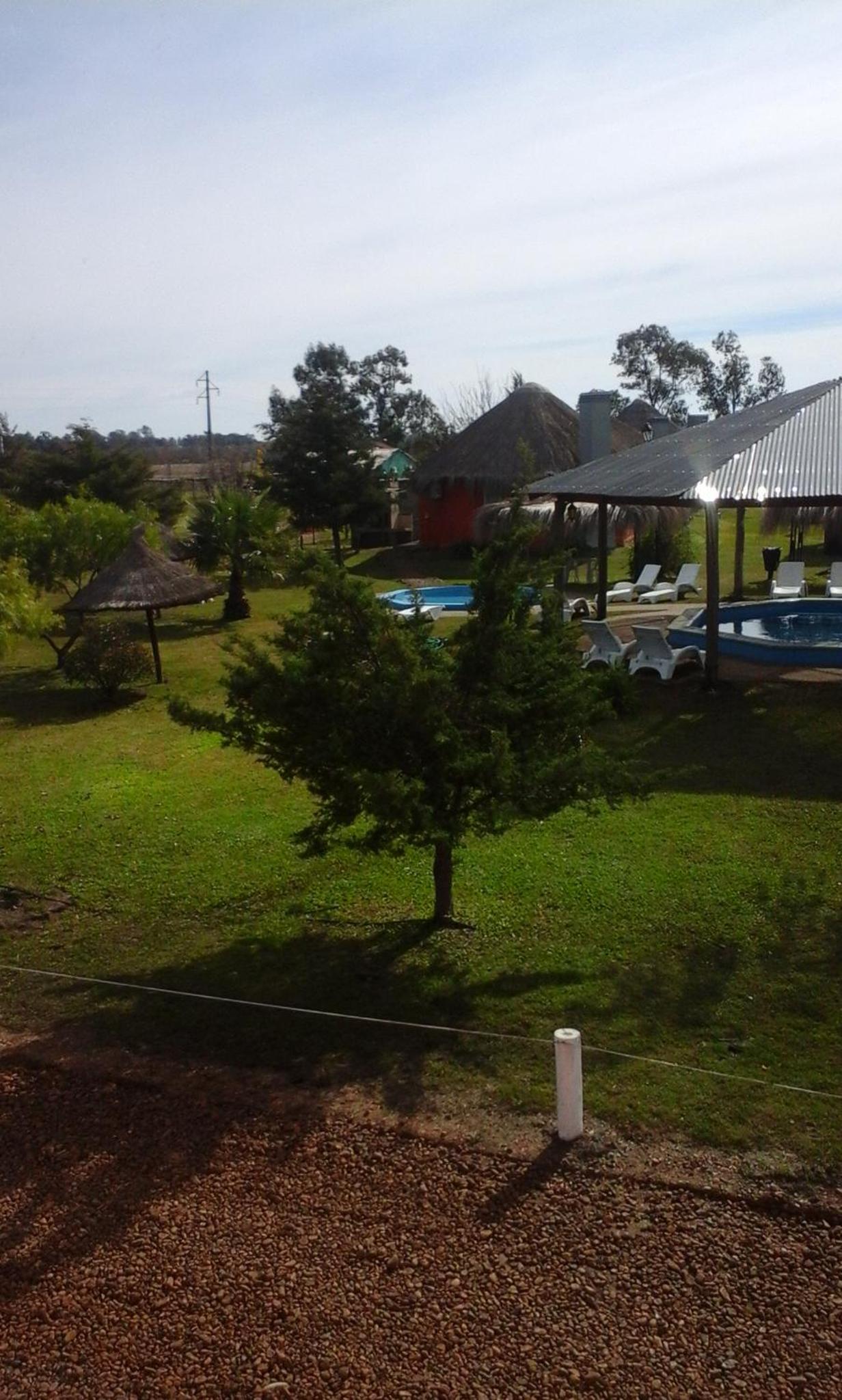 Photo 38