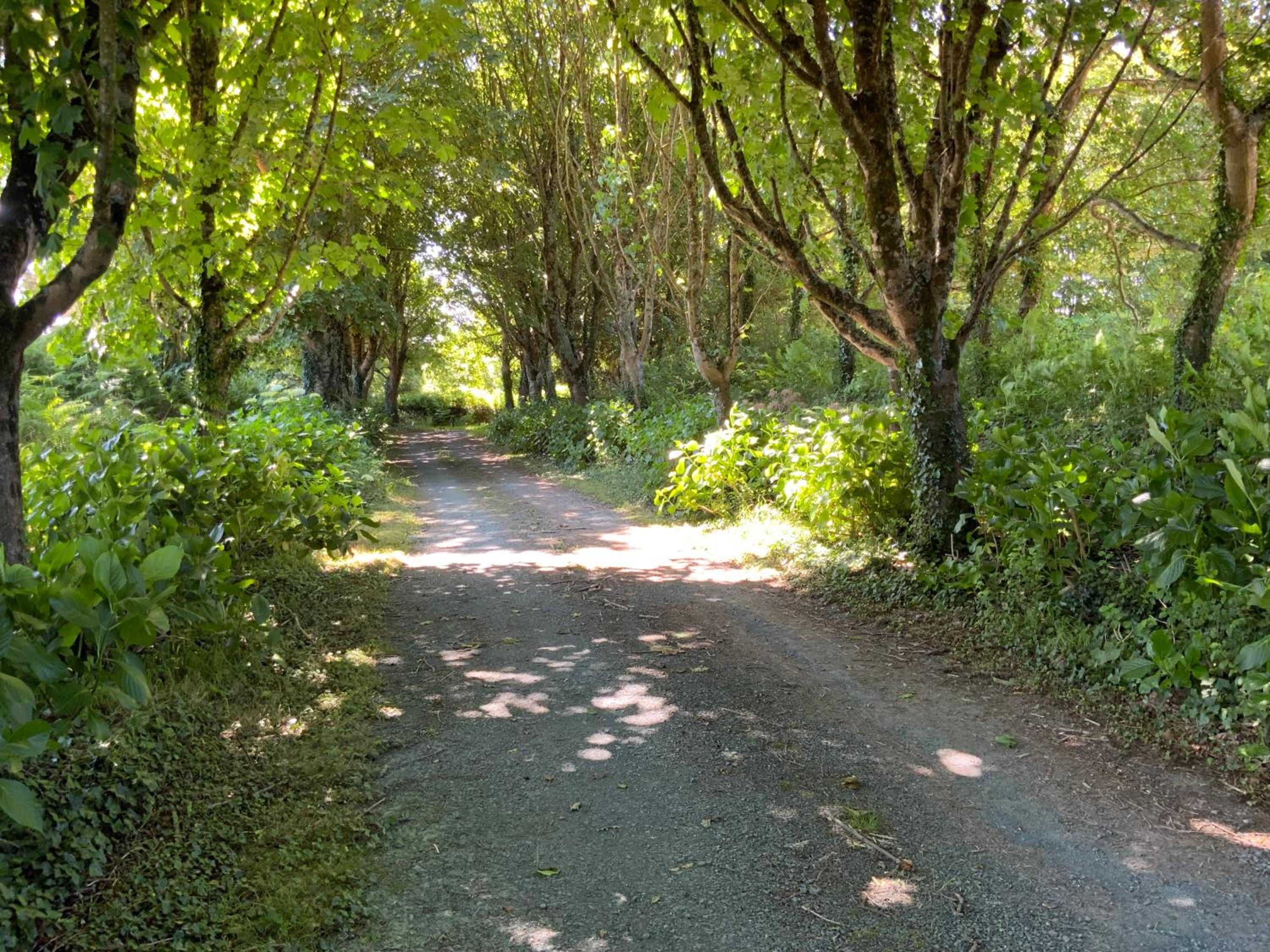 Penty entre campagne et Océan