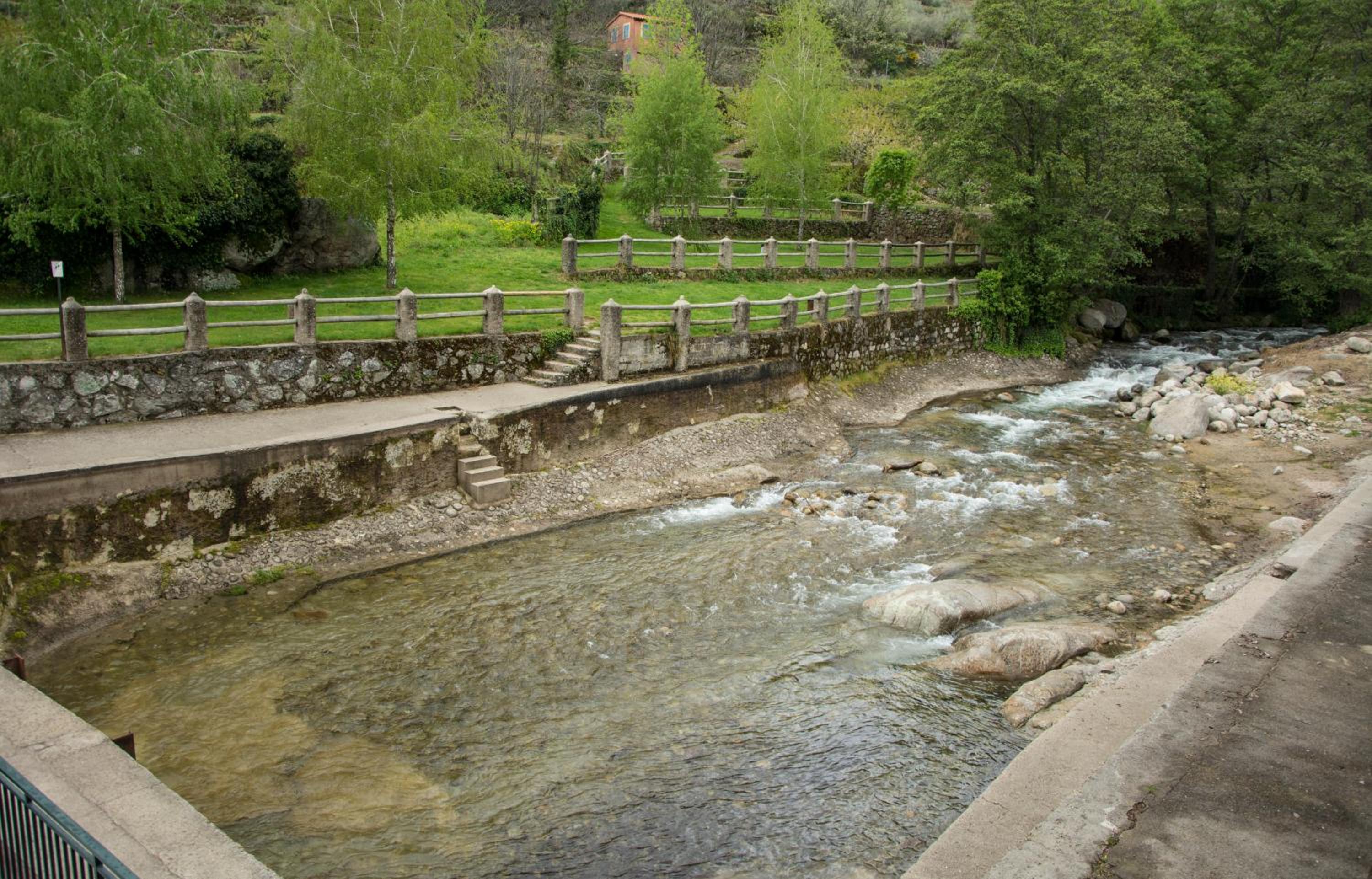 Photo 24