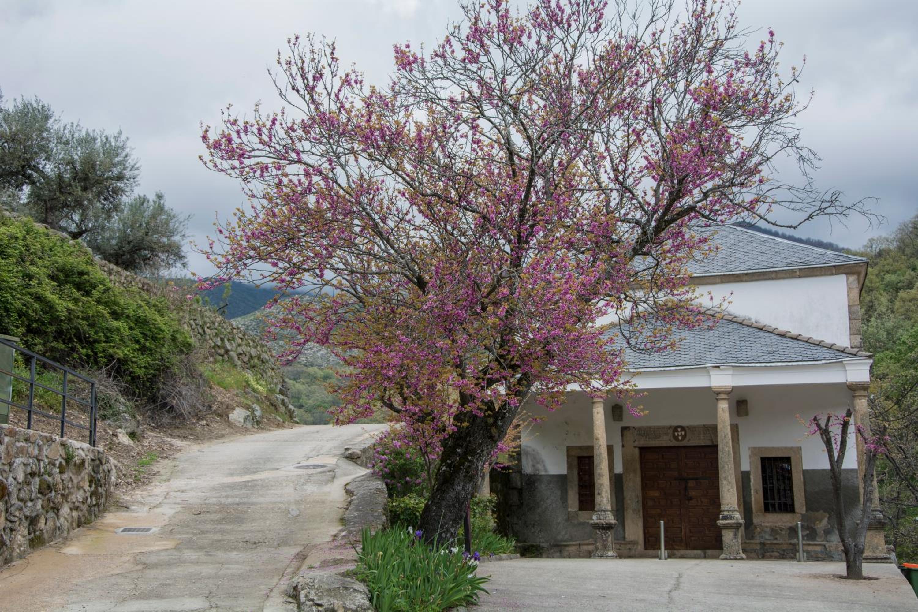 Photo 25