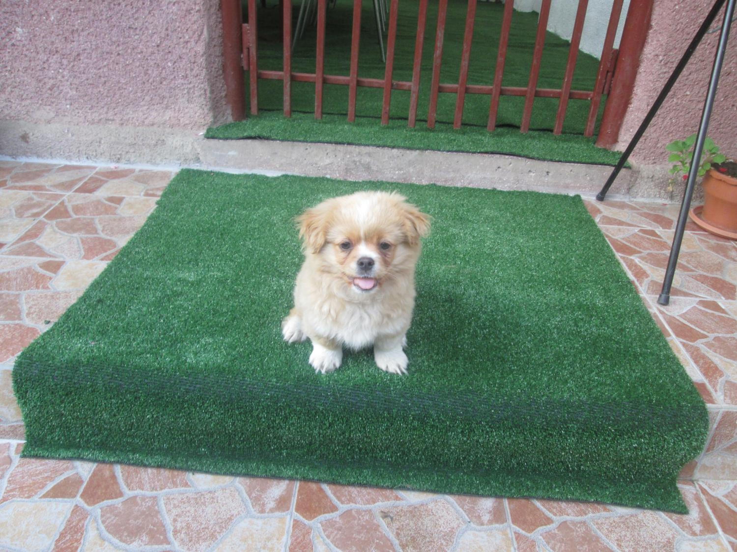 Photo 28