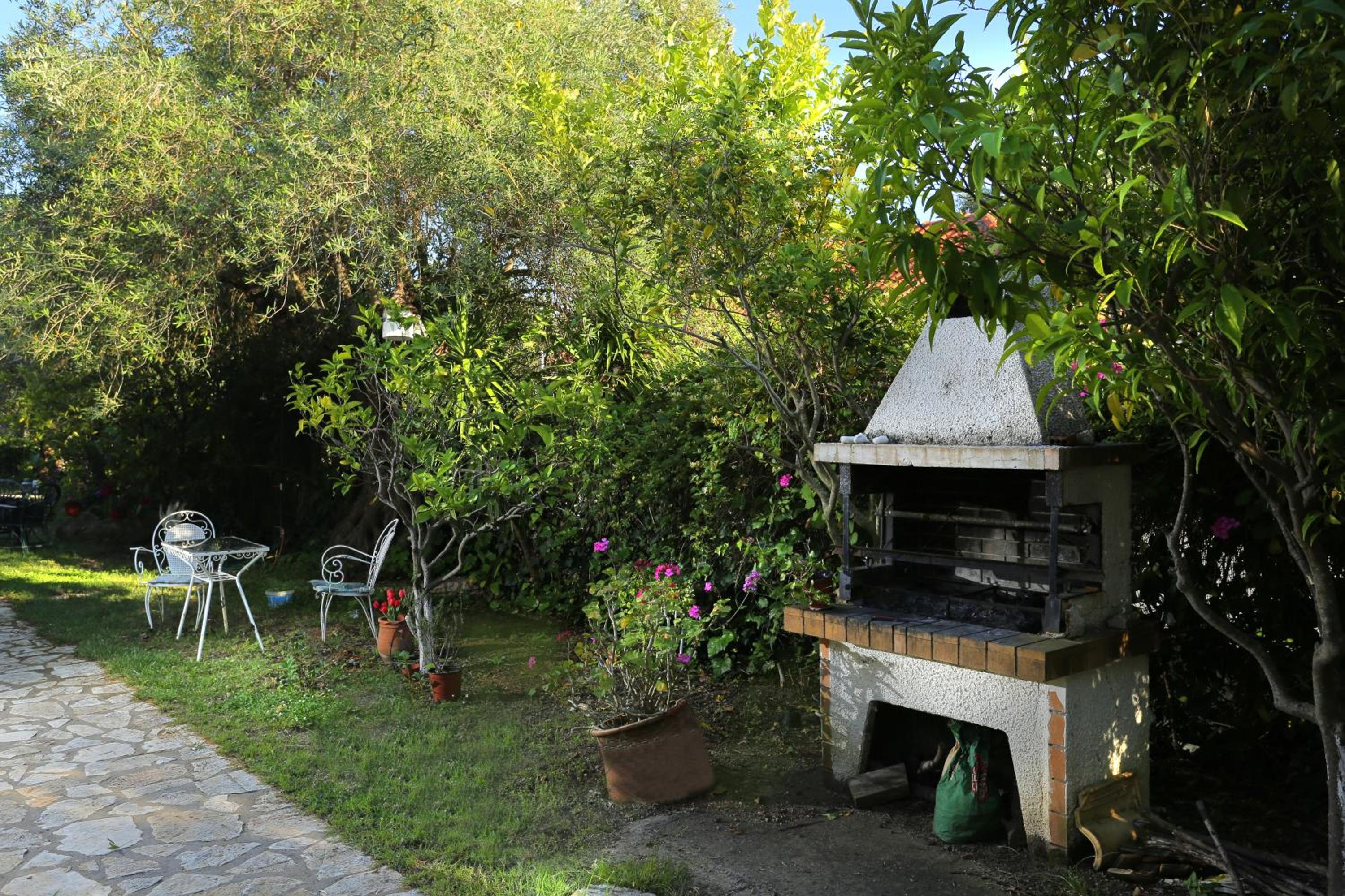Photo 25