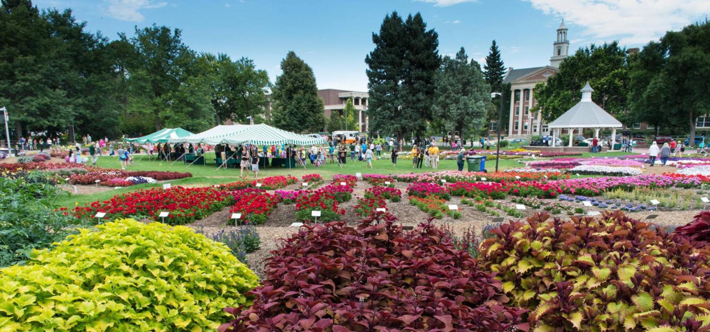 Lovely 2BR Home - Your Fort Collins Retreat!