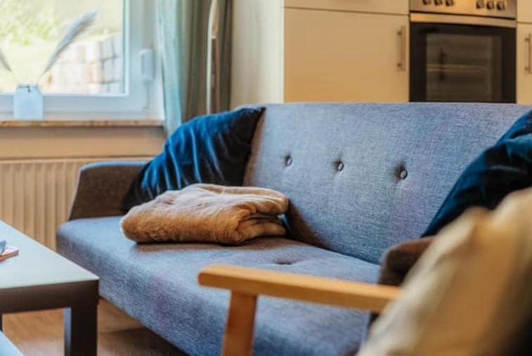 Harz Vital Lodge sehr komfortable Ferienwohnung