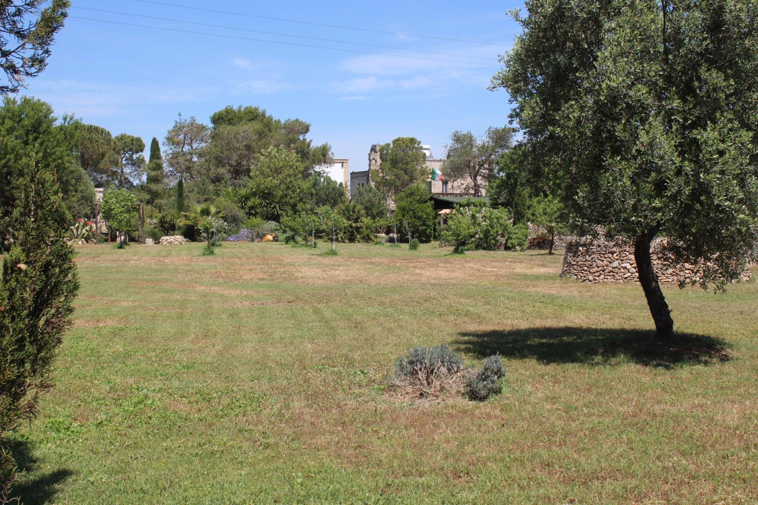Photo 47