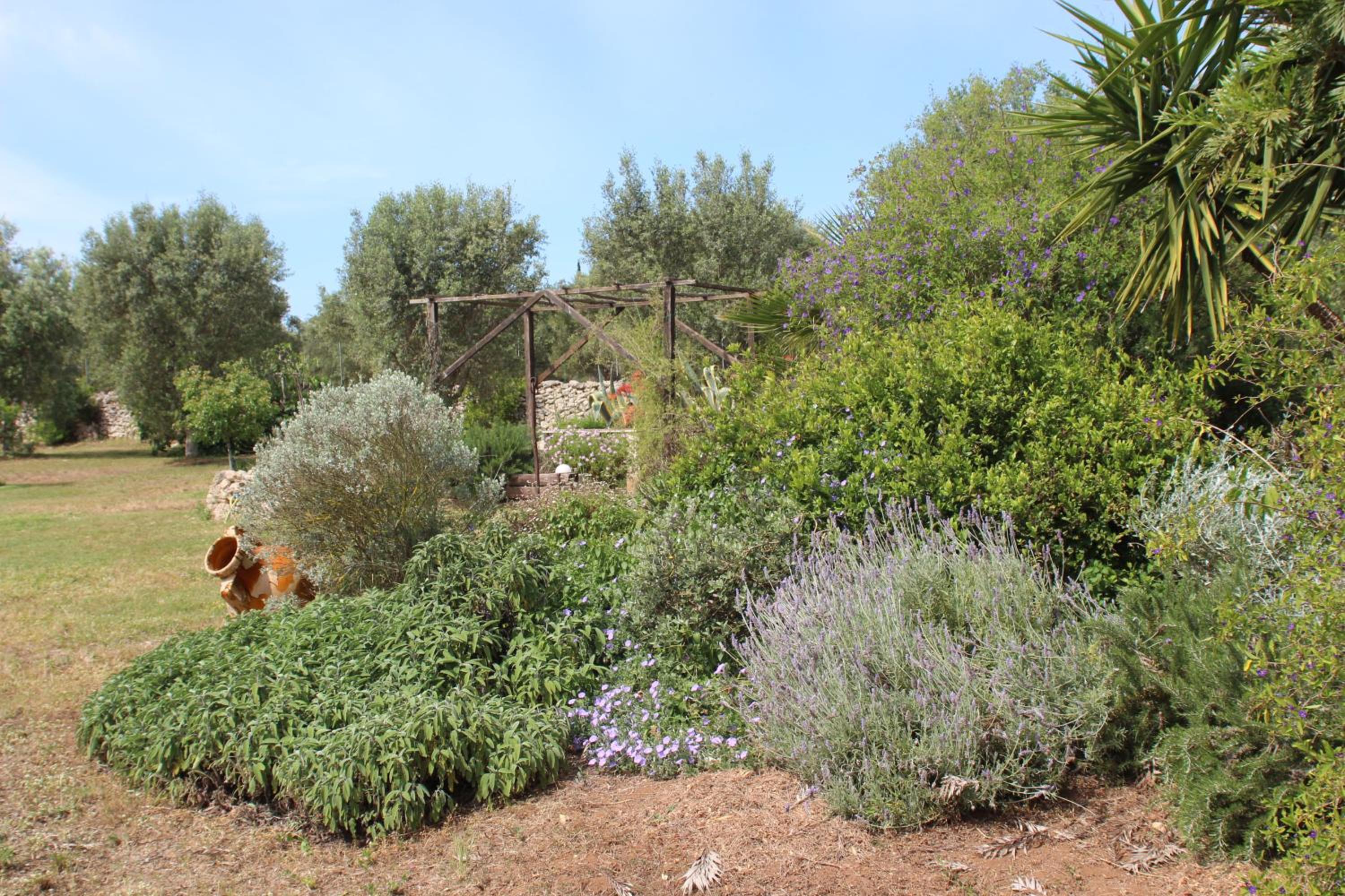 Photo 46