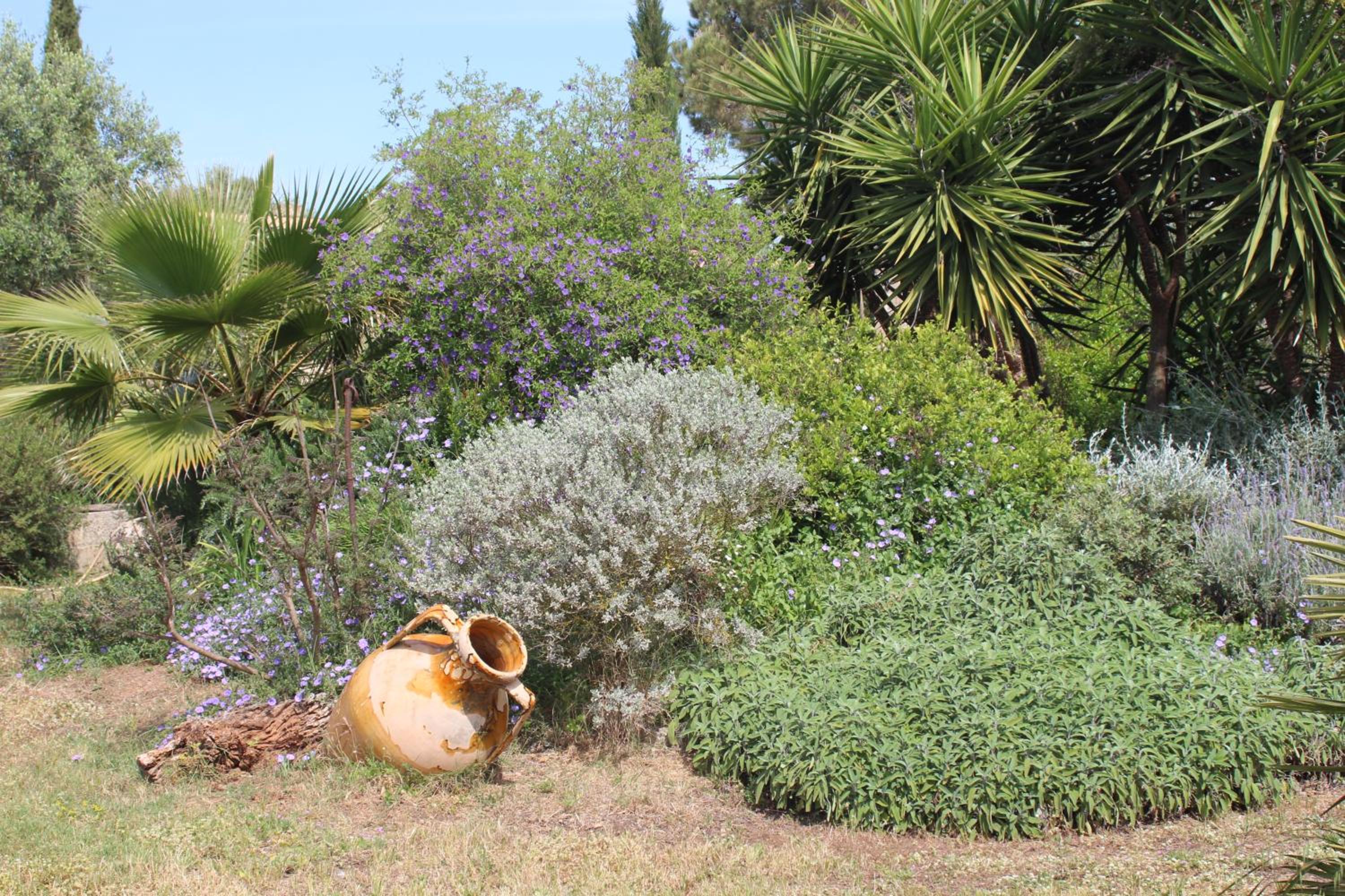 Photo 45