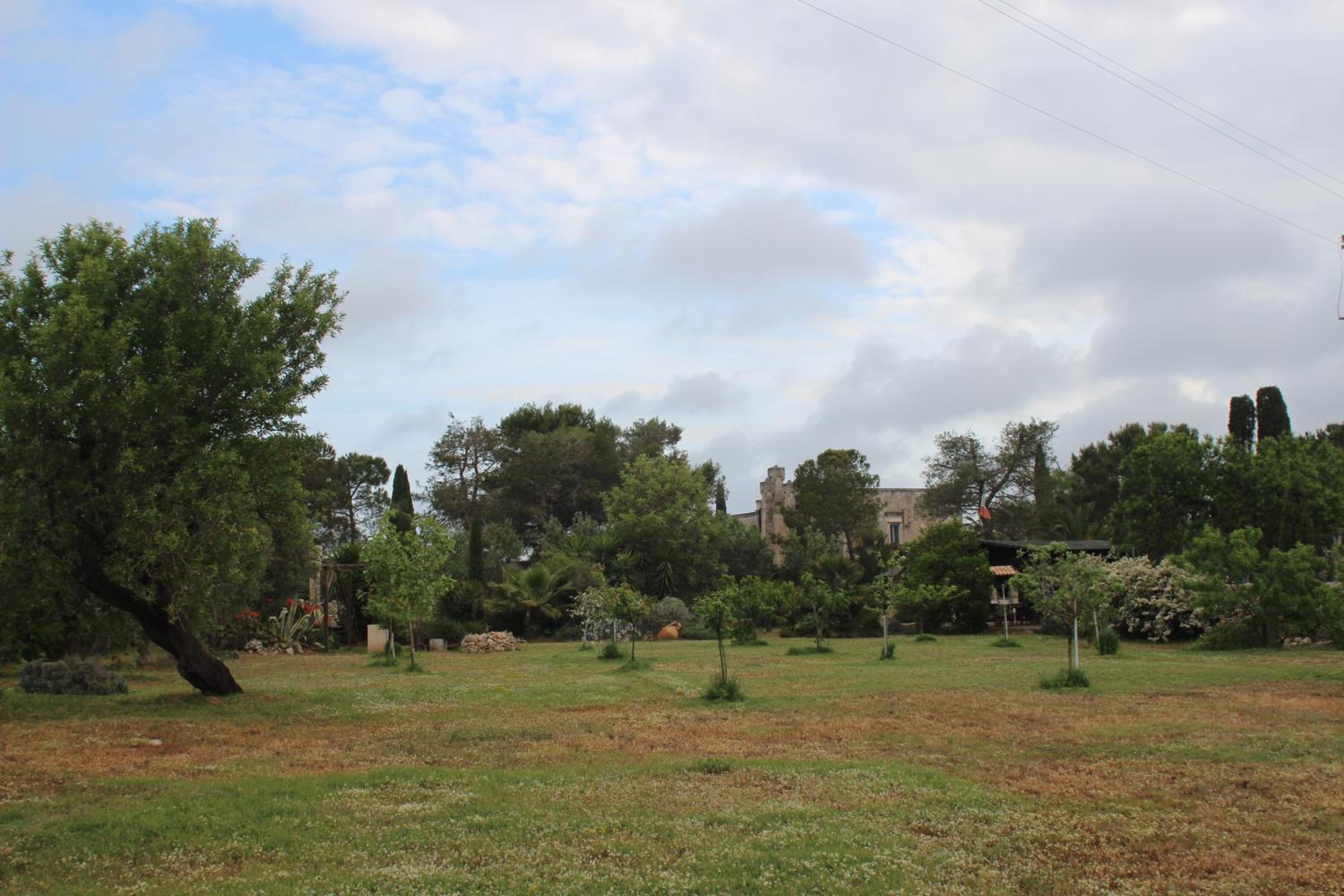 Photo 41