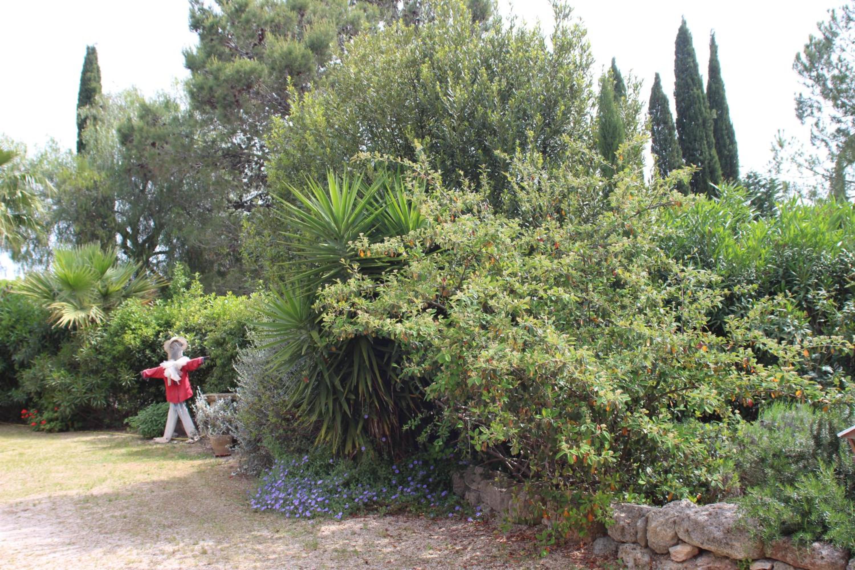 Photo 35