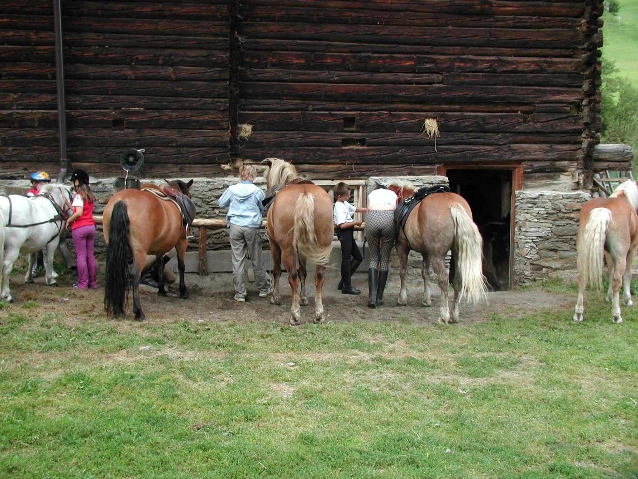 Familienparadies Wolfgangbauer