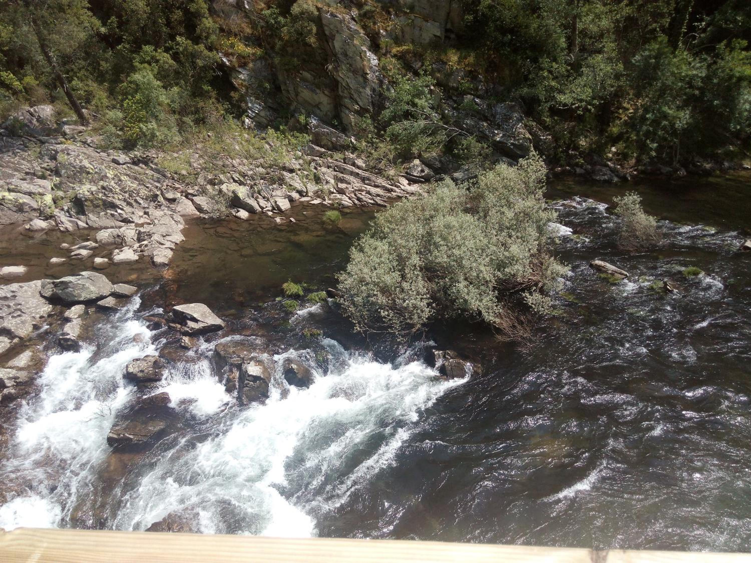 Photo 36