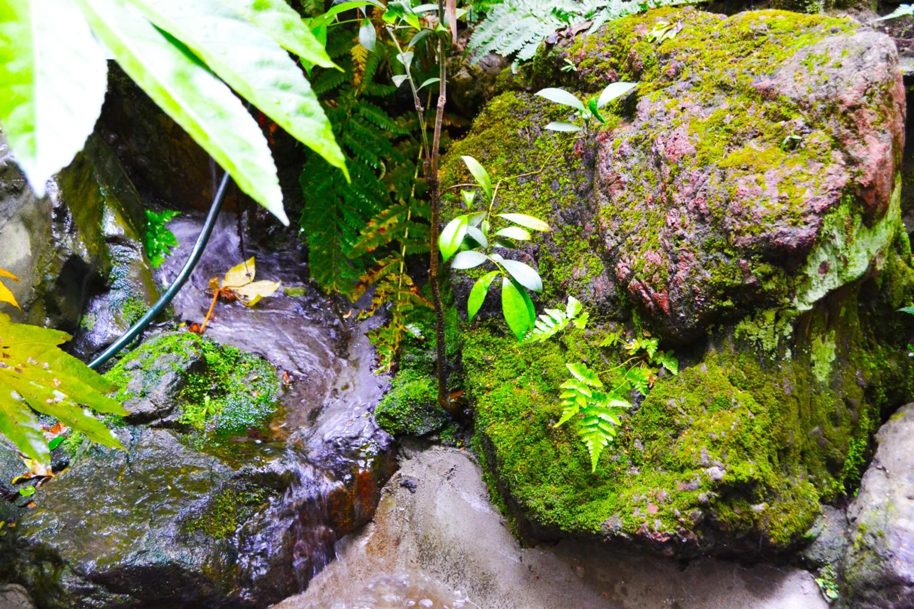 Ryokan Matsumuraya