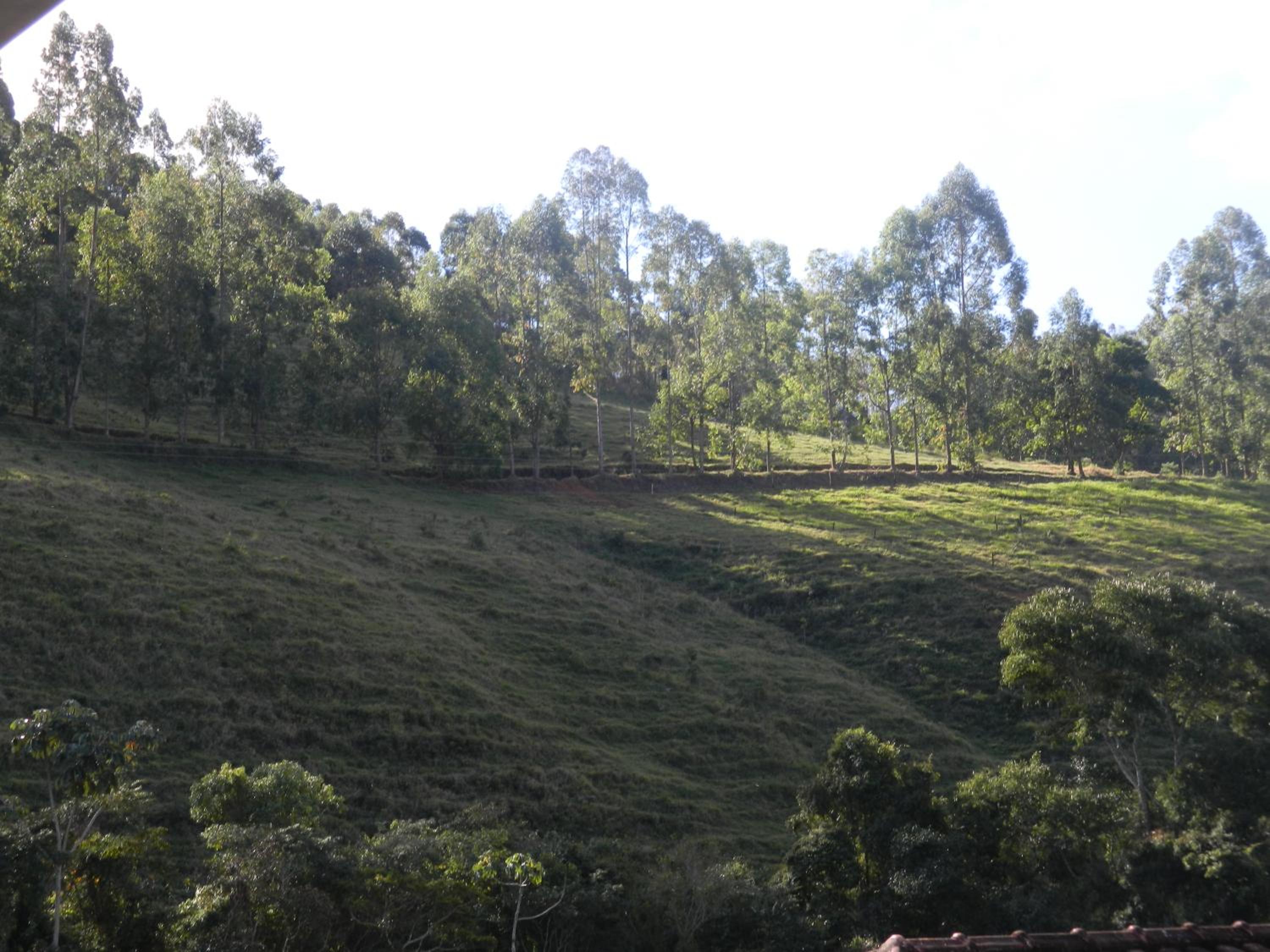 Fazenda Hotel Alvorada