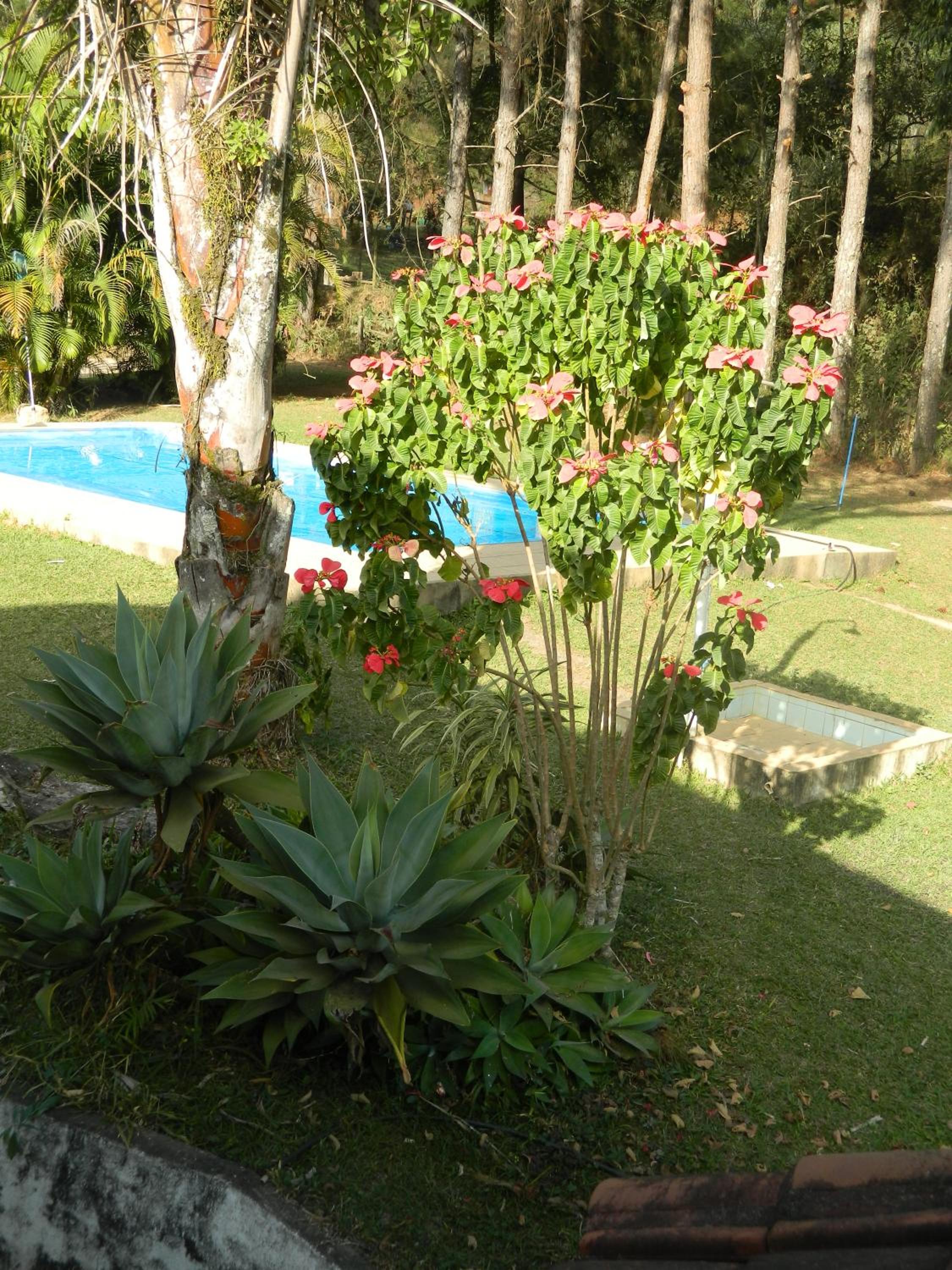 Fazenda Hotel Alvorada