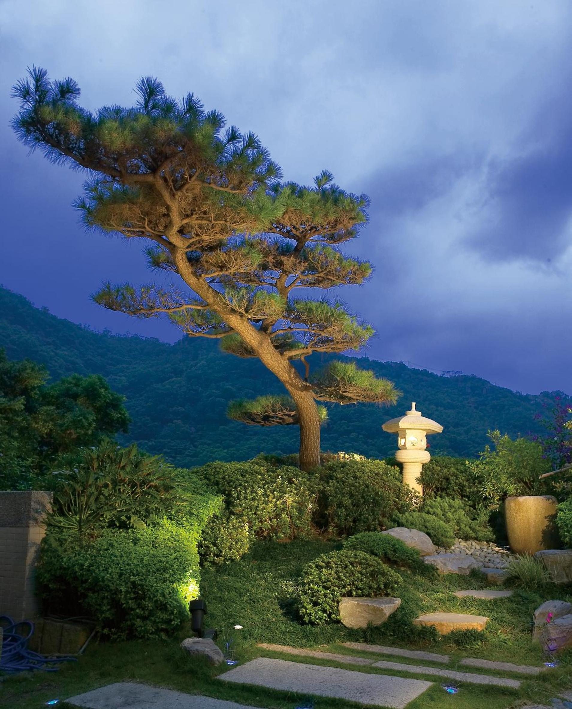 Spring City Resort - Image 4