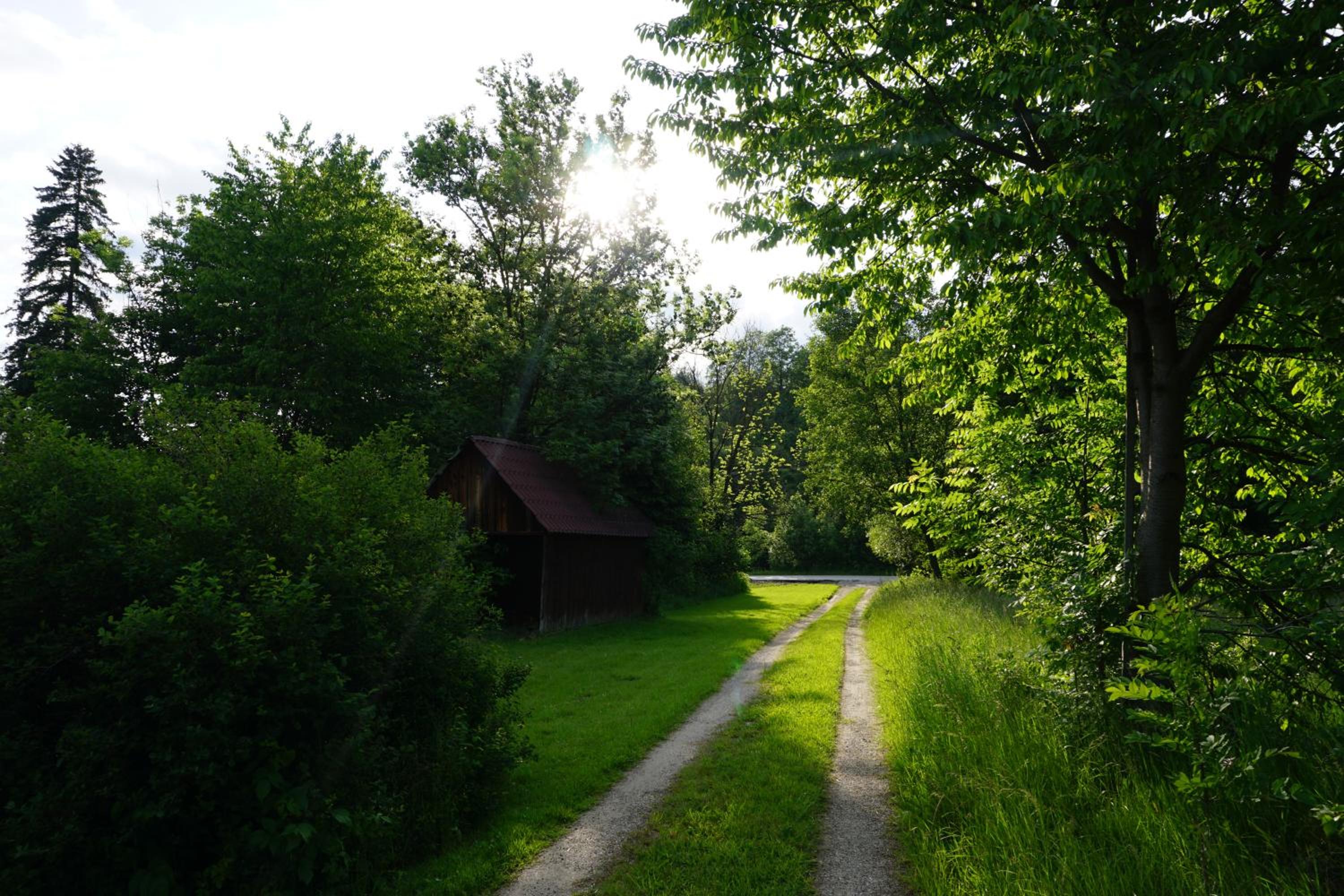 Photo 46