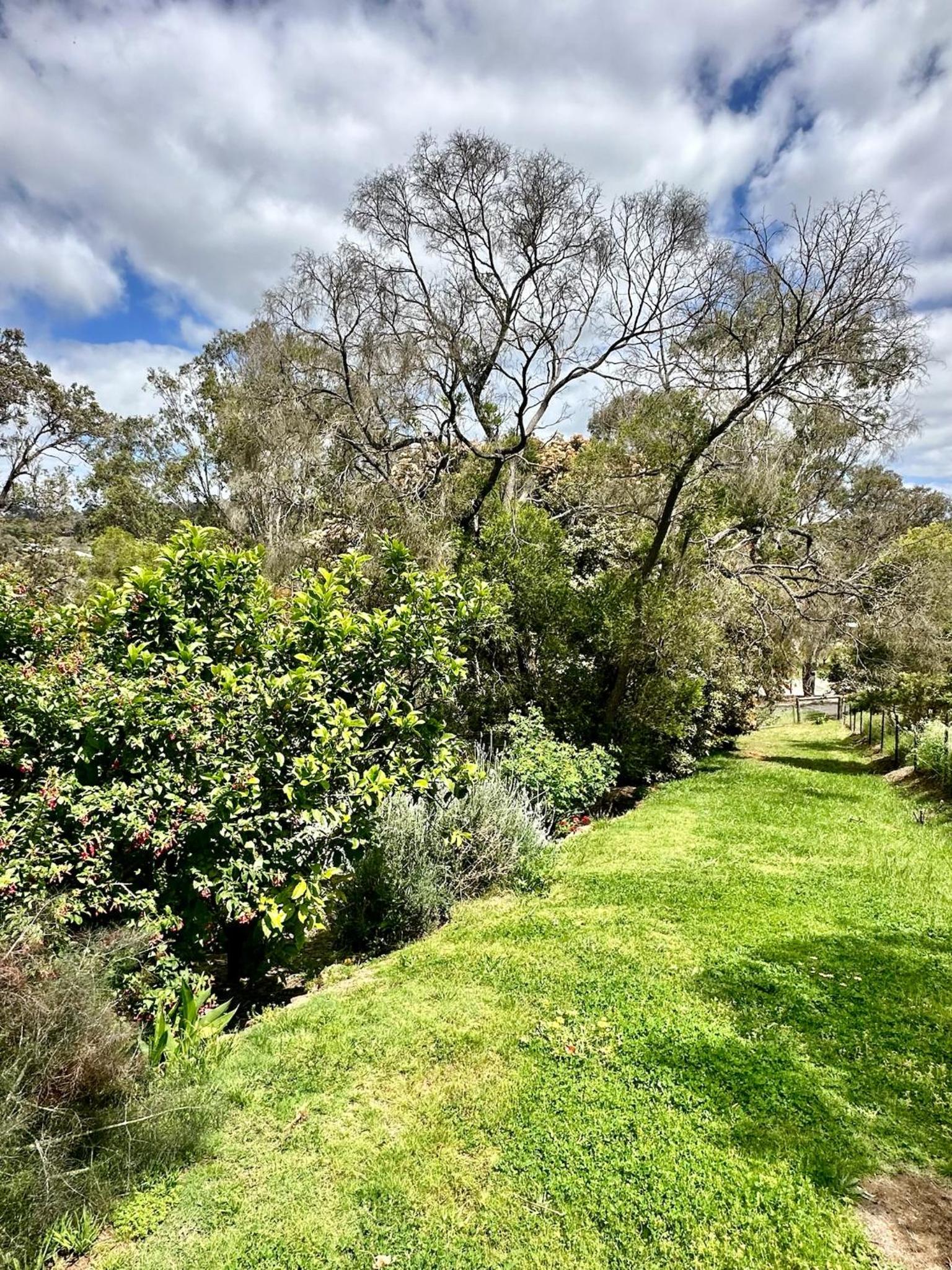 Hilltop Cottage Bridgetown