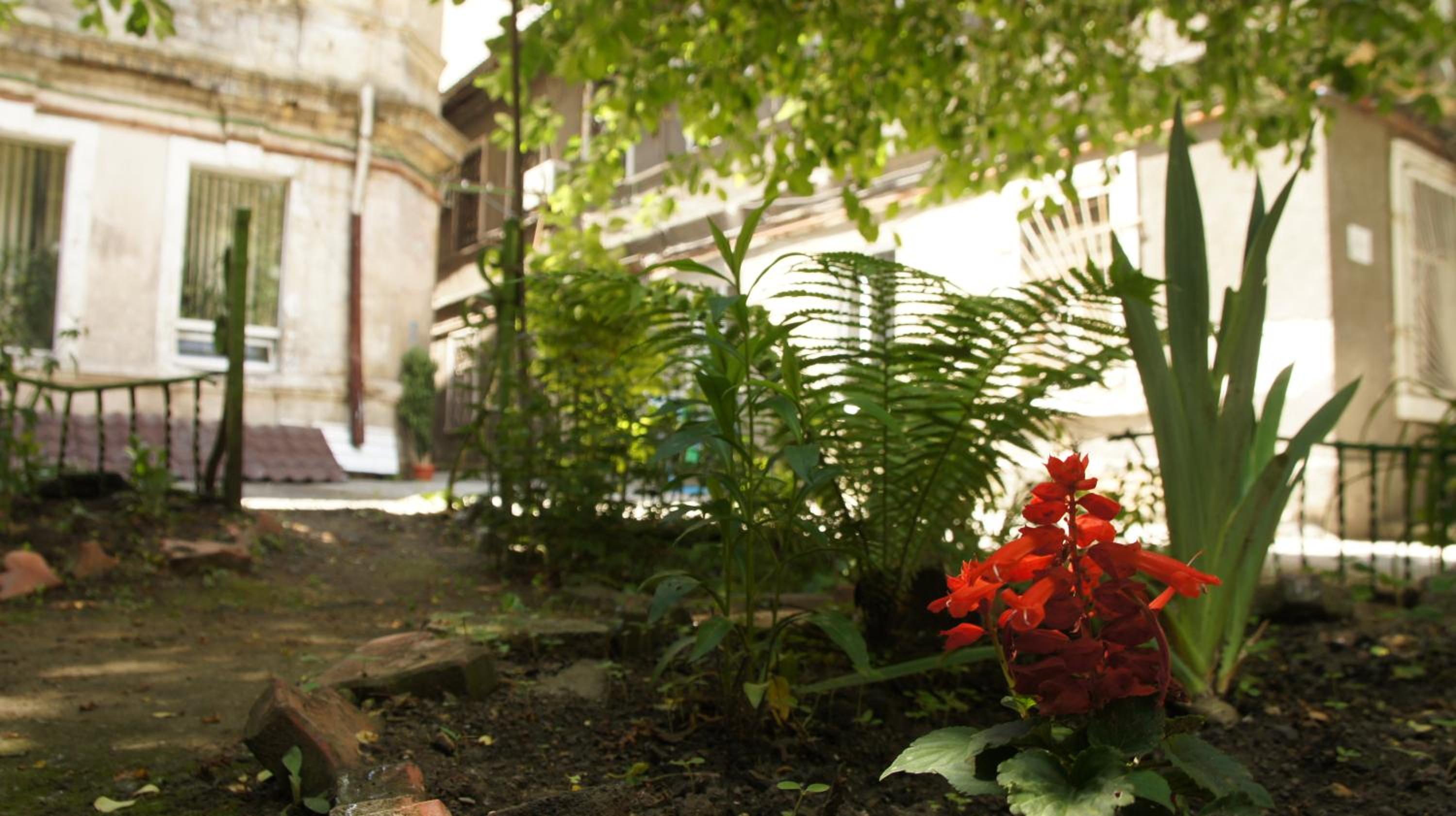 Dream Hostel Odessa