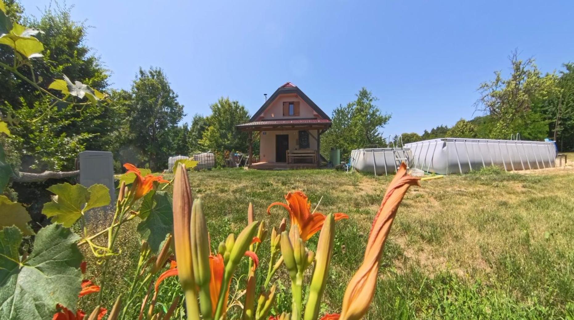 Glamping Volčji tabor - zavetje tišine sredi gozda