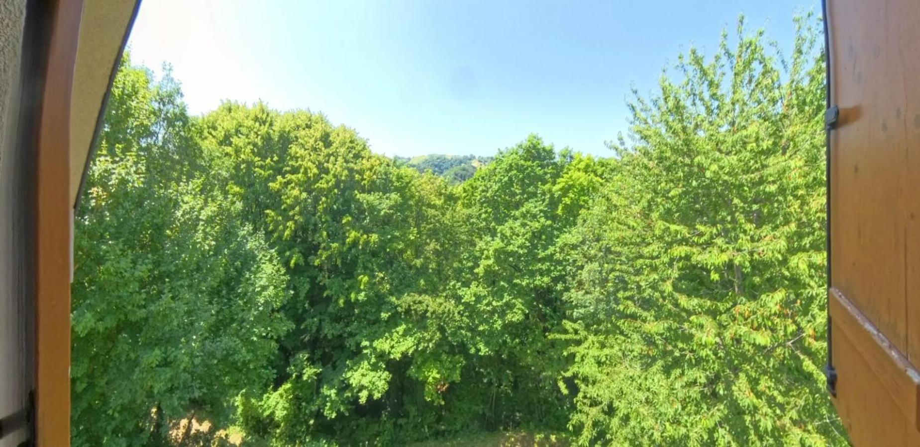 Glamping Volčji tabor - zavetje tišine sredi gozda