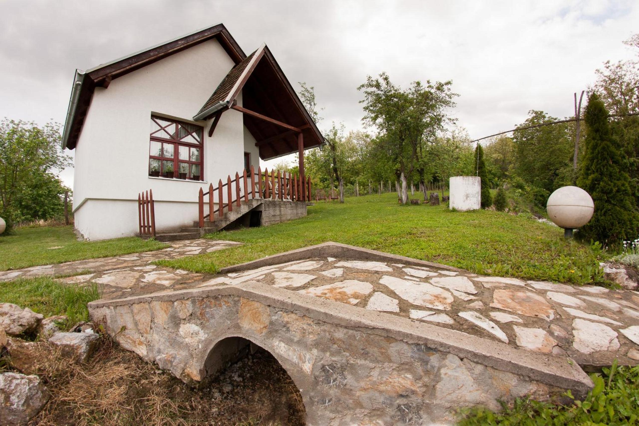 Photo 41