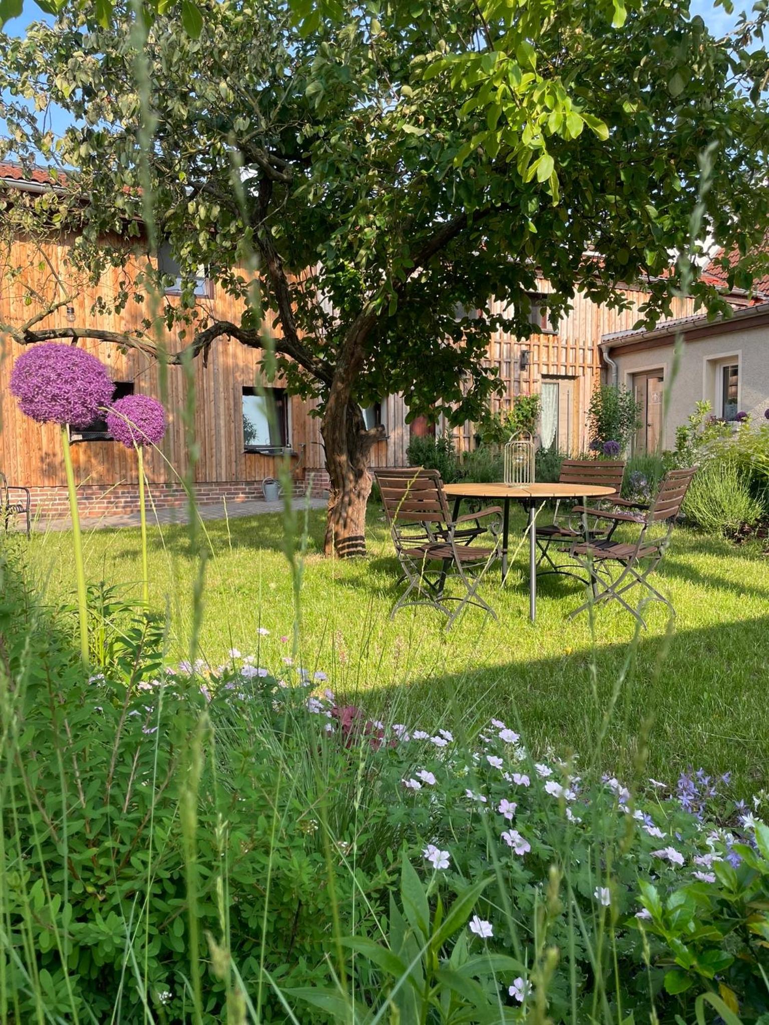 Kochstedter Wohnstuben - Wohnen mit Naturbaustoffen in der Bauhausstadt Dessau