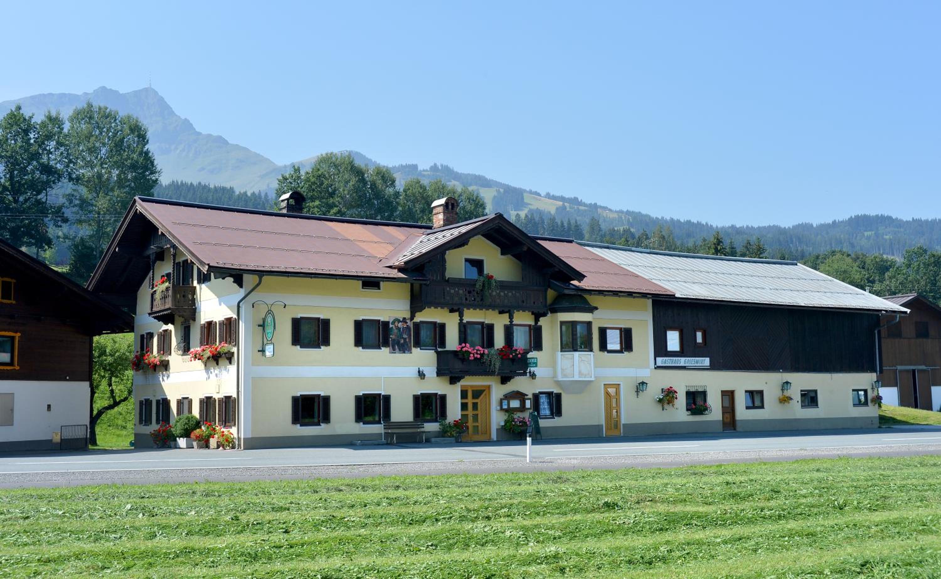 Grieswirt