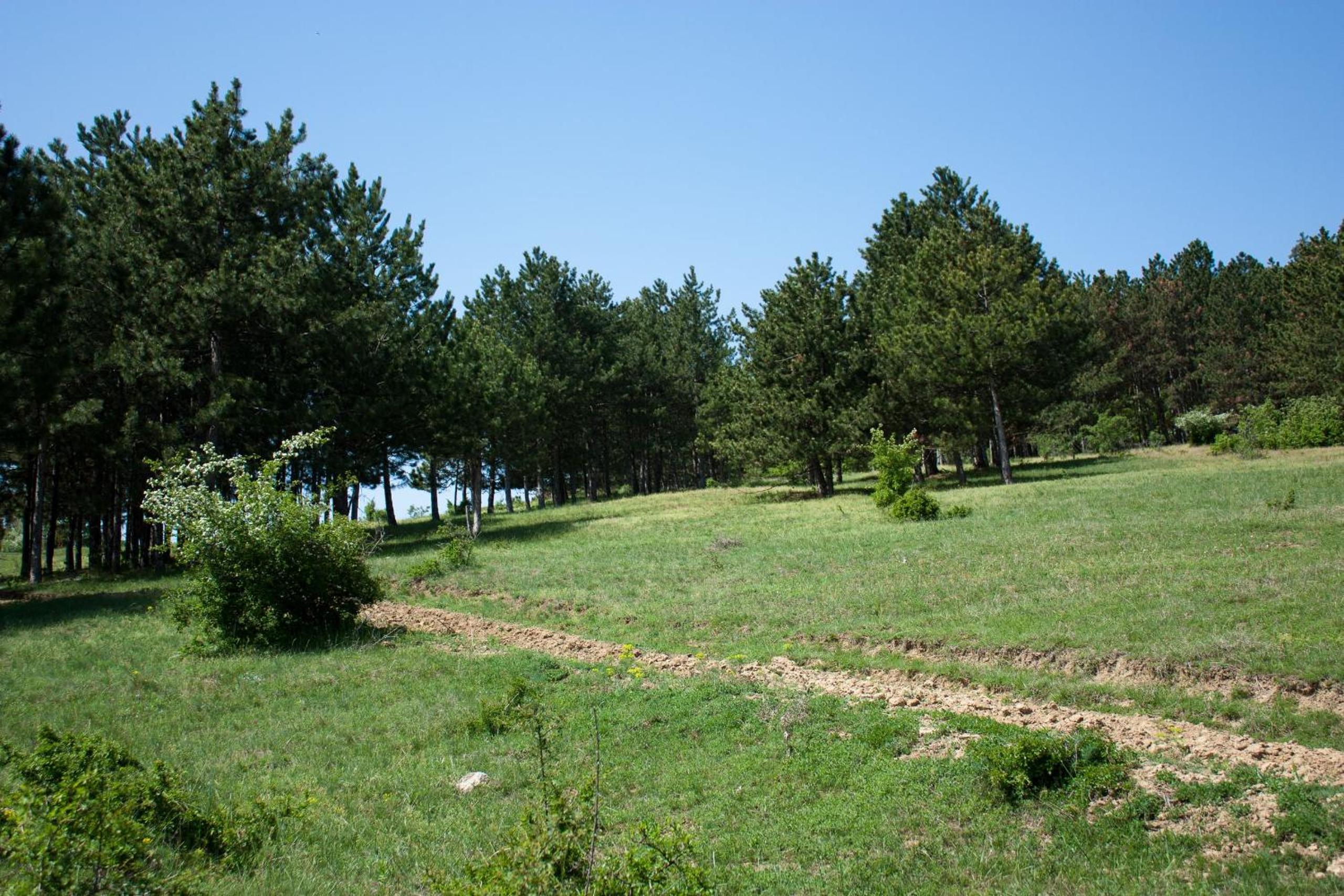 Photo 47