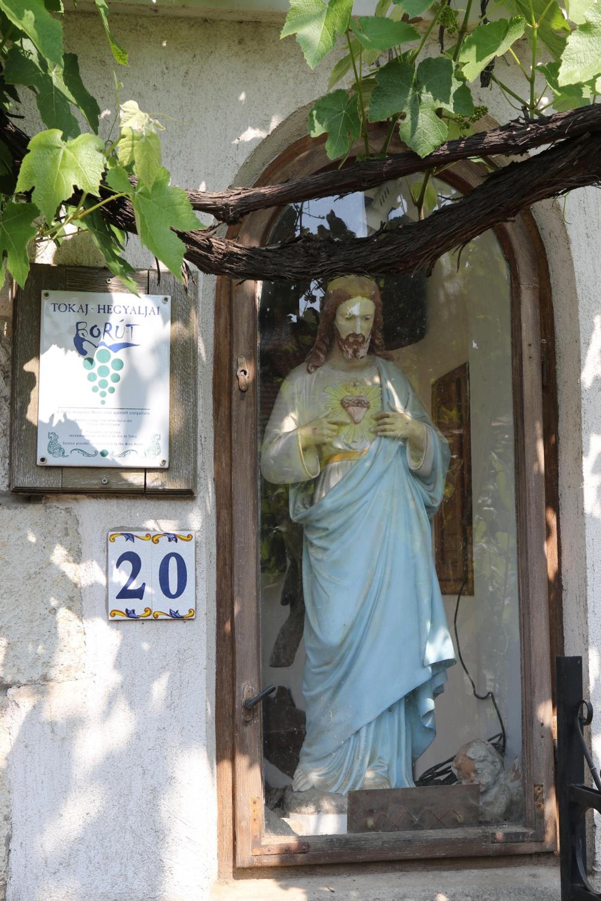 Photo 6