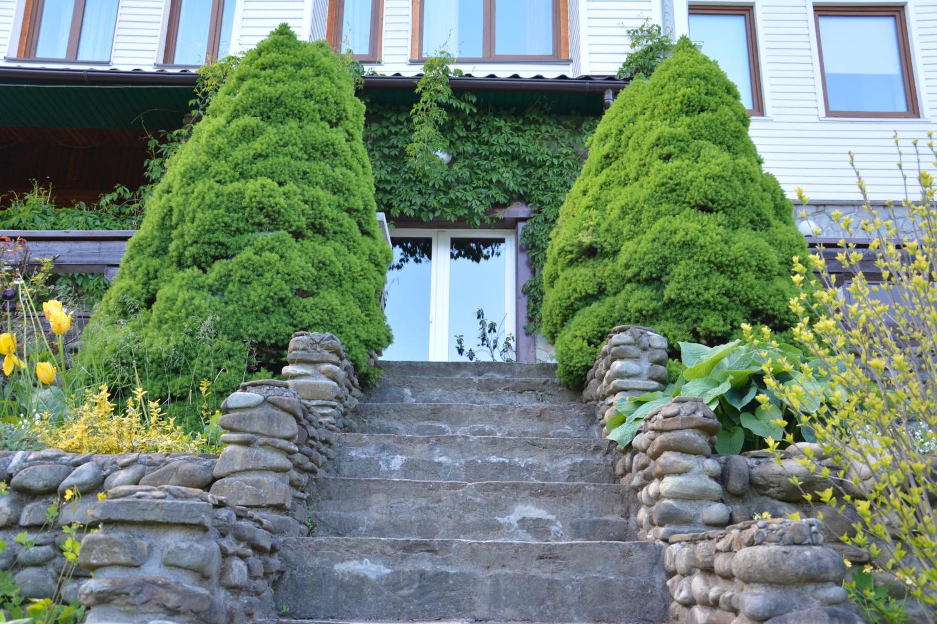 Photo 15