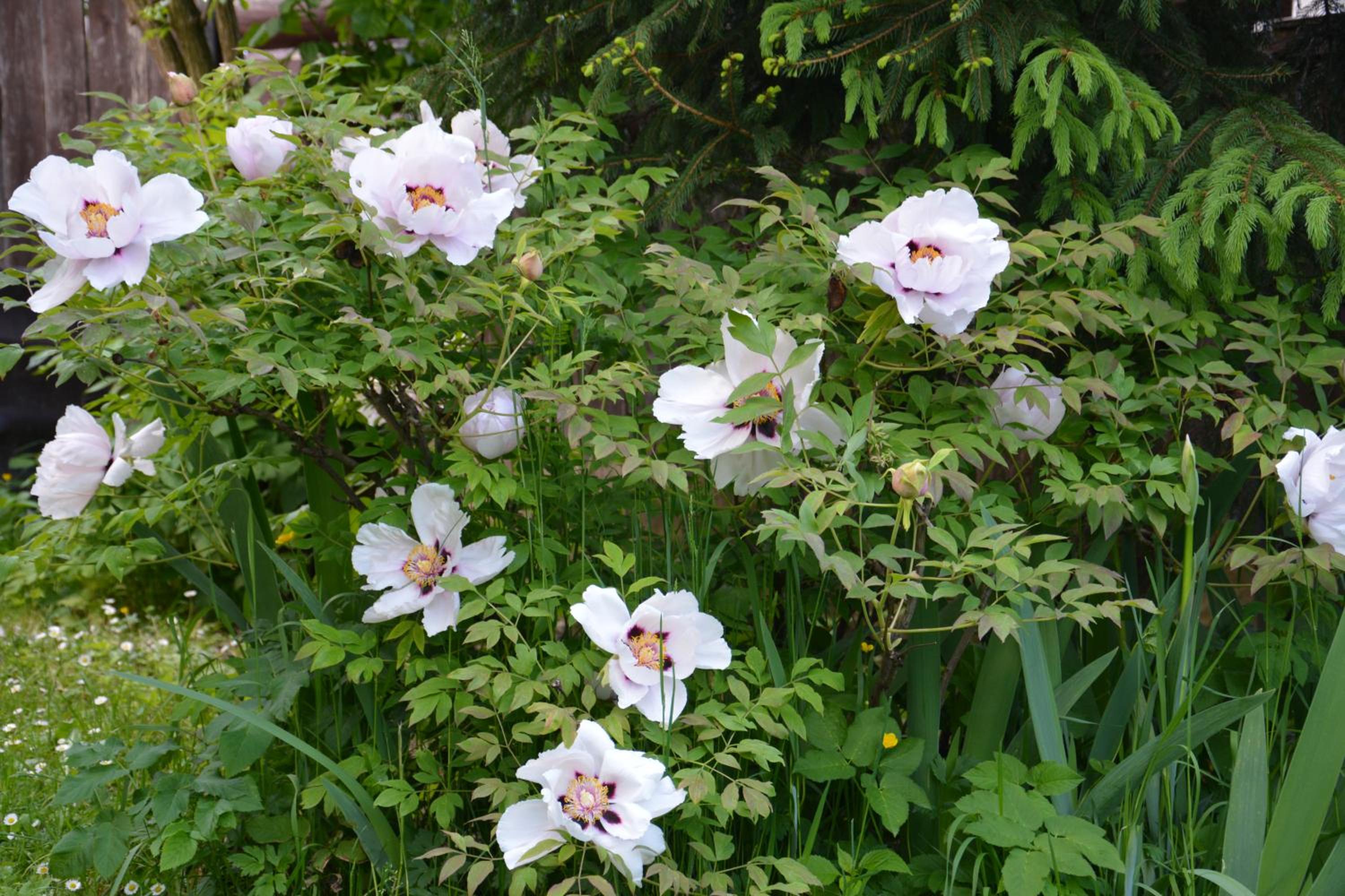 Photo 14