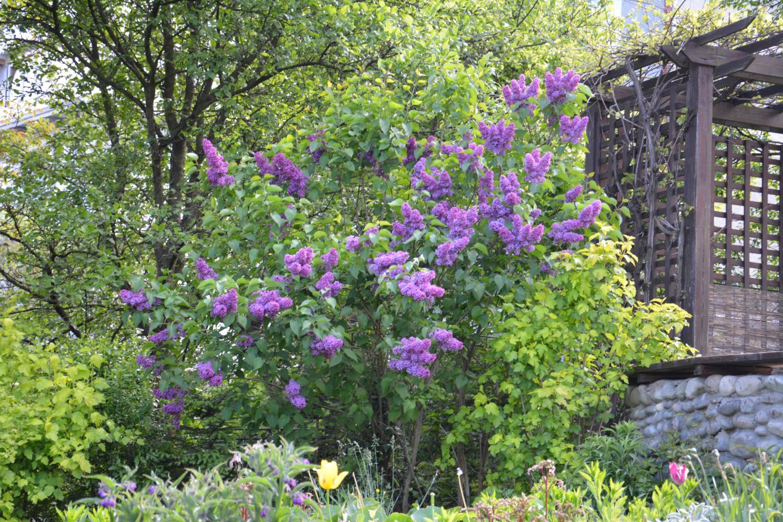 Photo 12