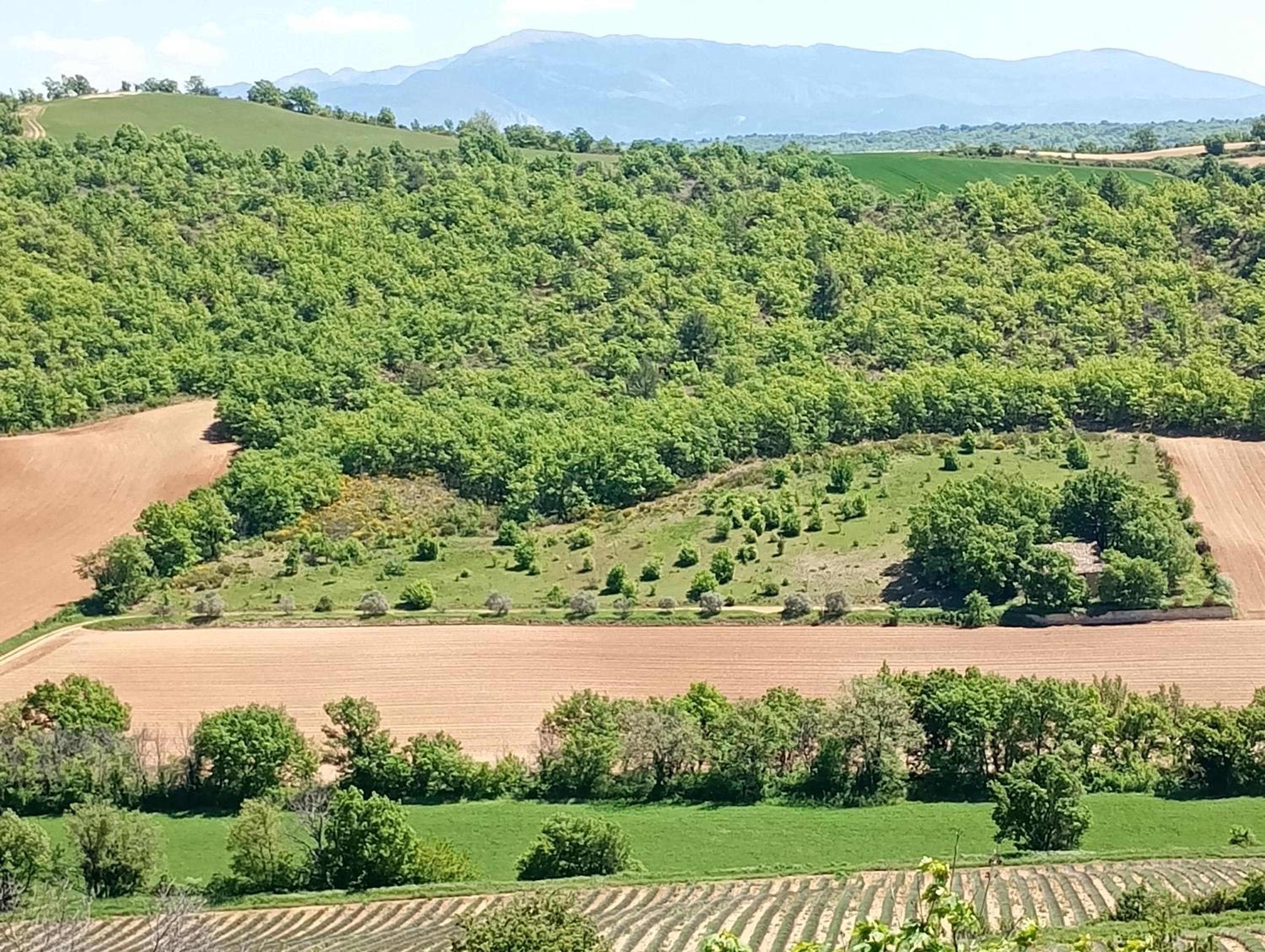 La Bergerie en Provence