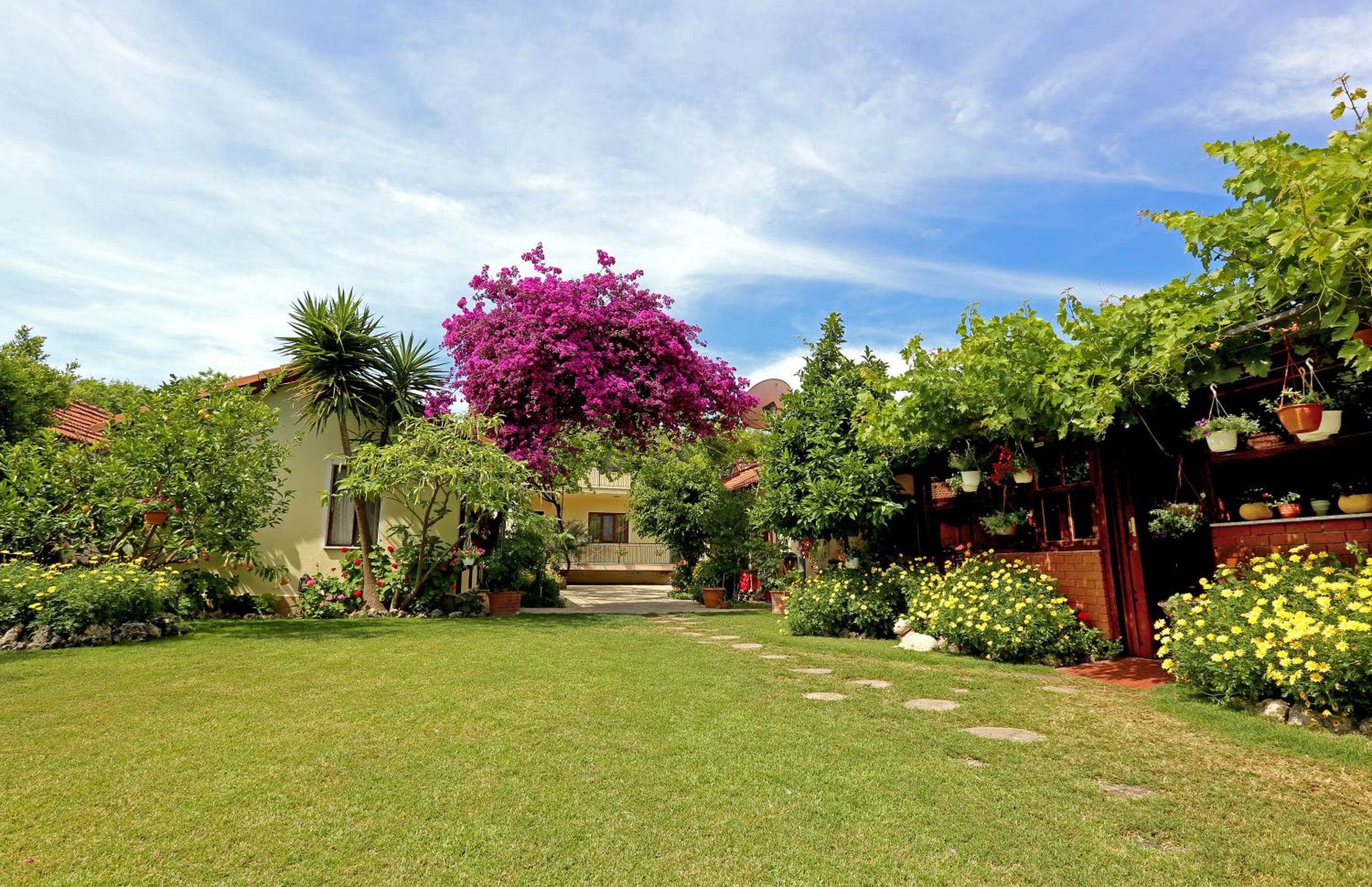 Midas Pension