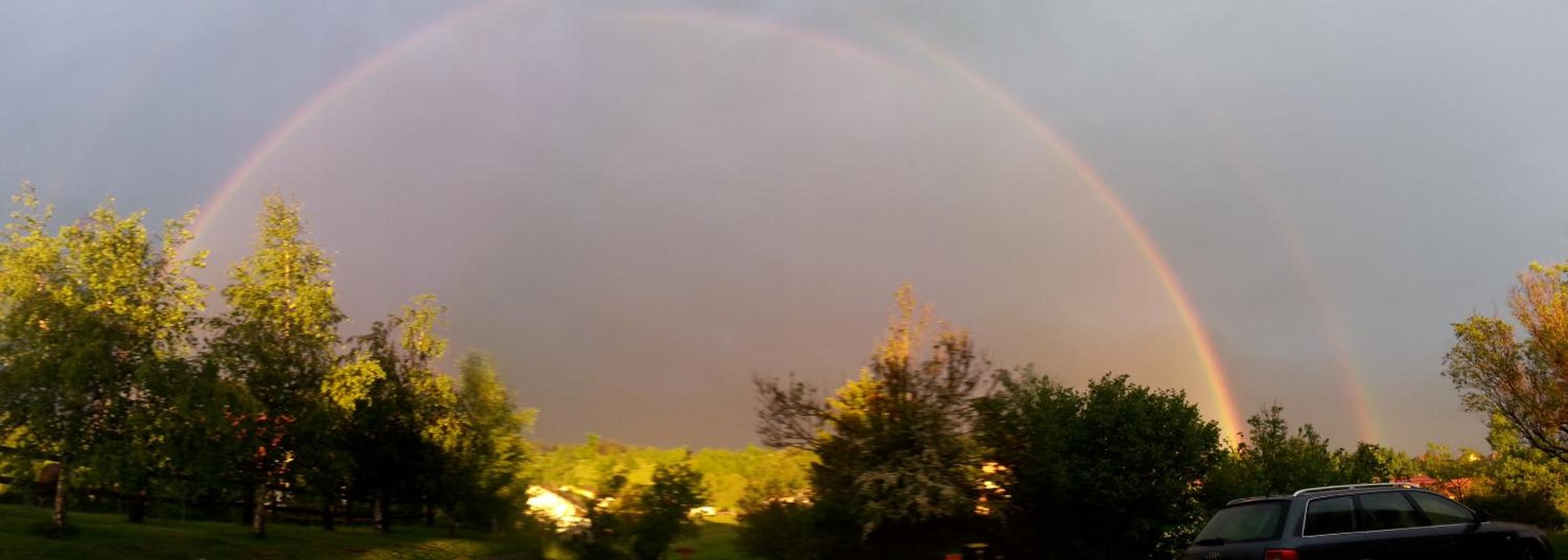 Photo 24