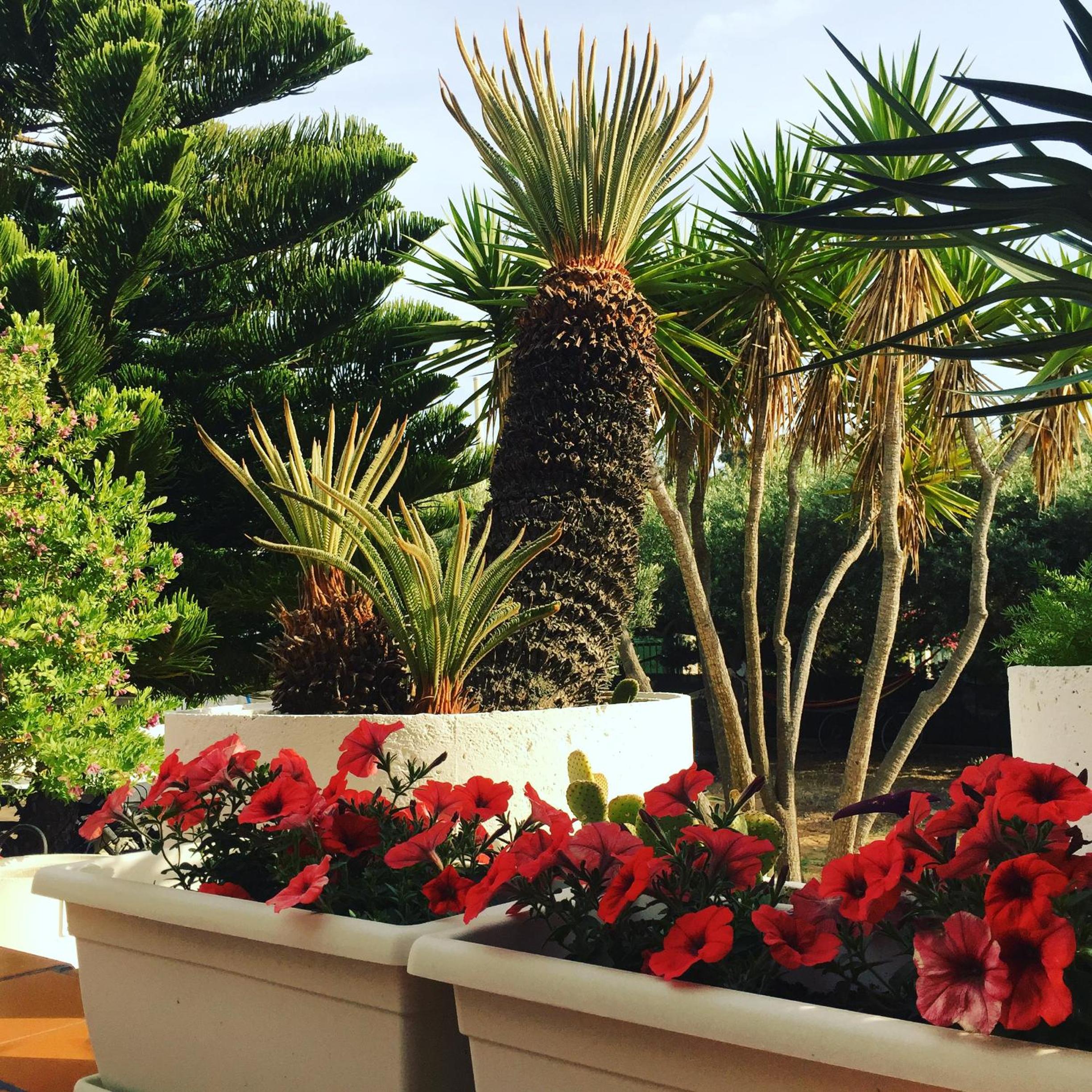 Villa Cetta B&B, photo 46