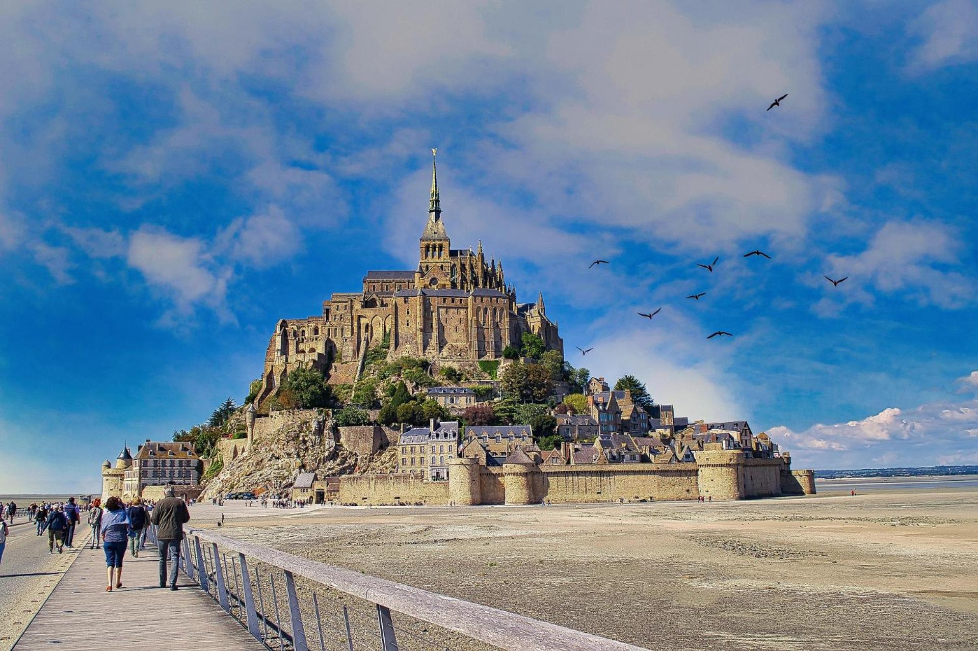 Parenthèse poétique face au Mont-Saint-Michel, entre nature vivante, animaux et petit-déjeuner festin
