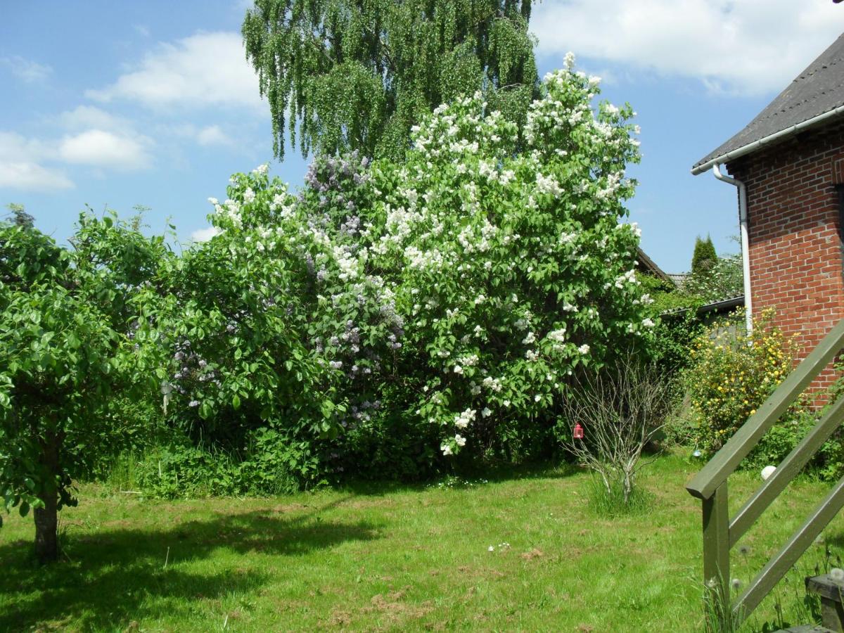 Borup Bed & Breakfast, photo 51