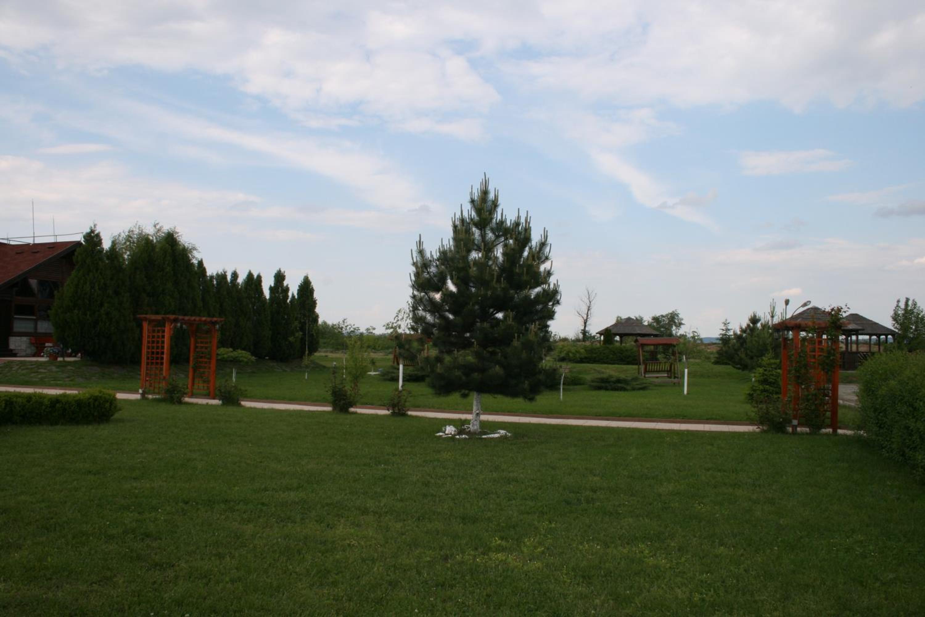 Photo 38
