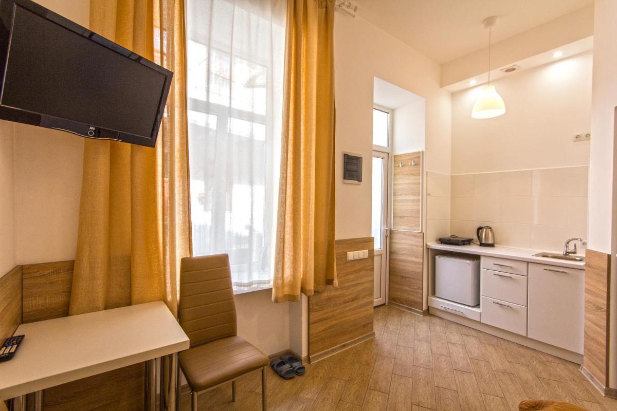 Mini Smart Apartments on Shpytalna 13- Economy Apartment view 3