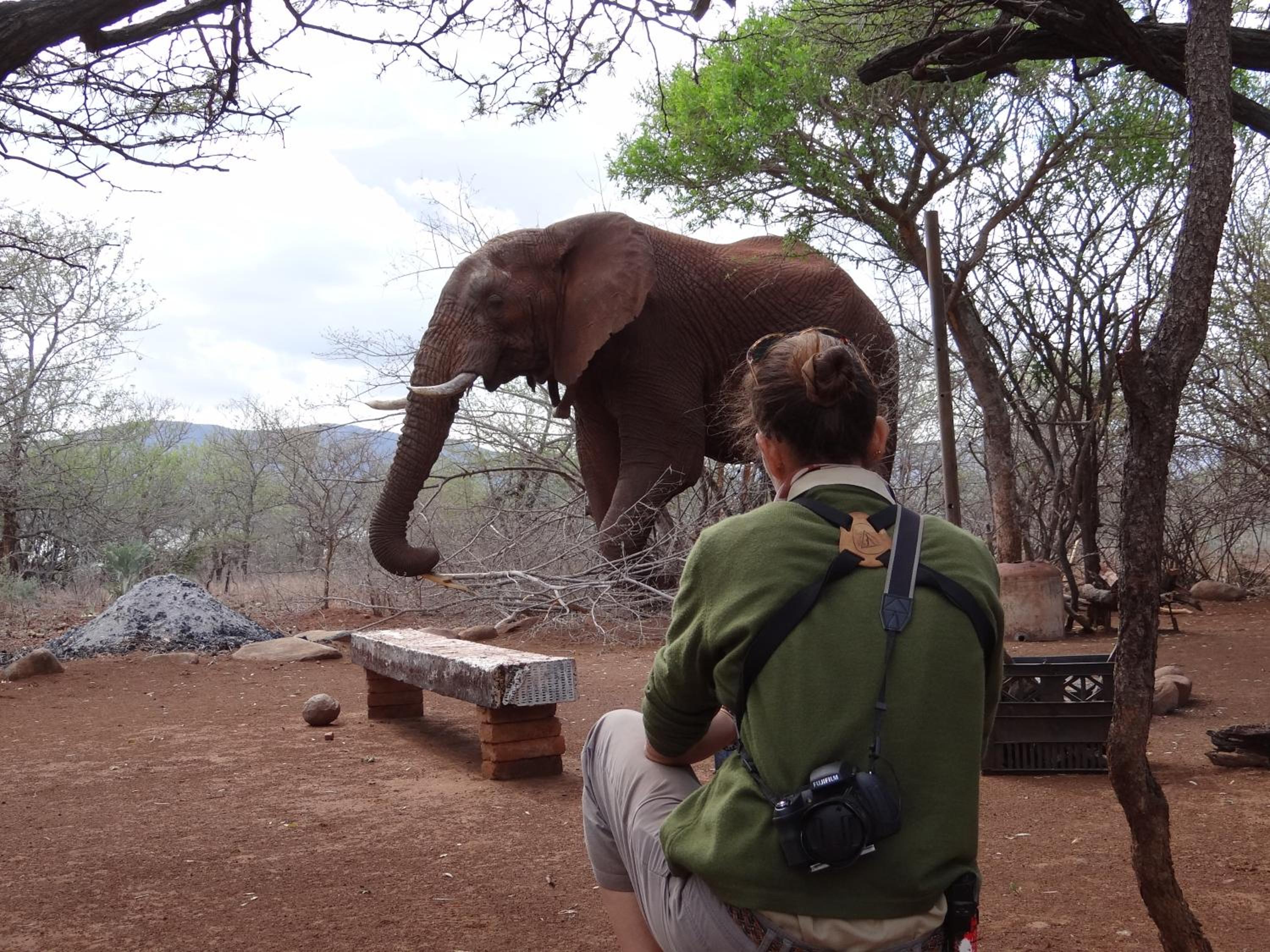 White Elephant Safaris view 4