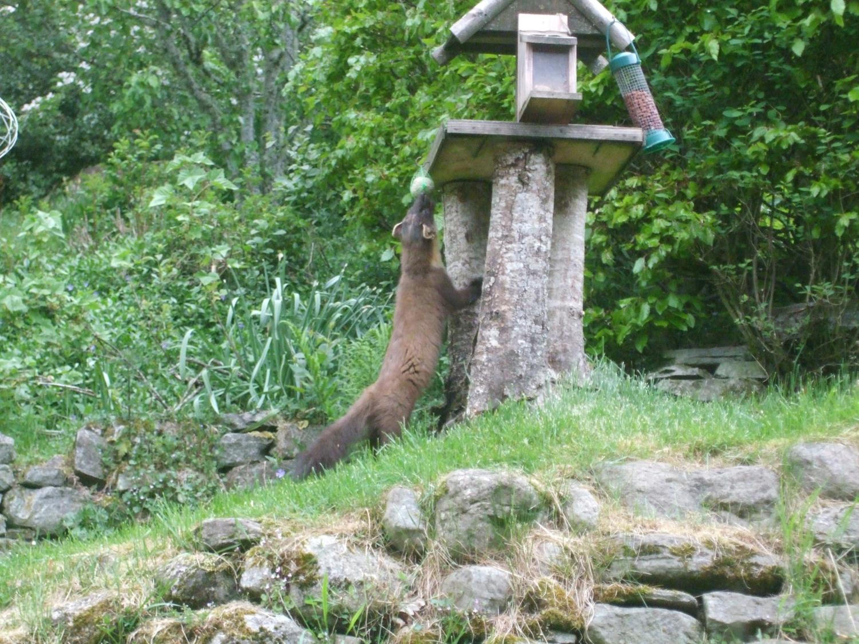 Craik Na Dav B&B