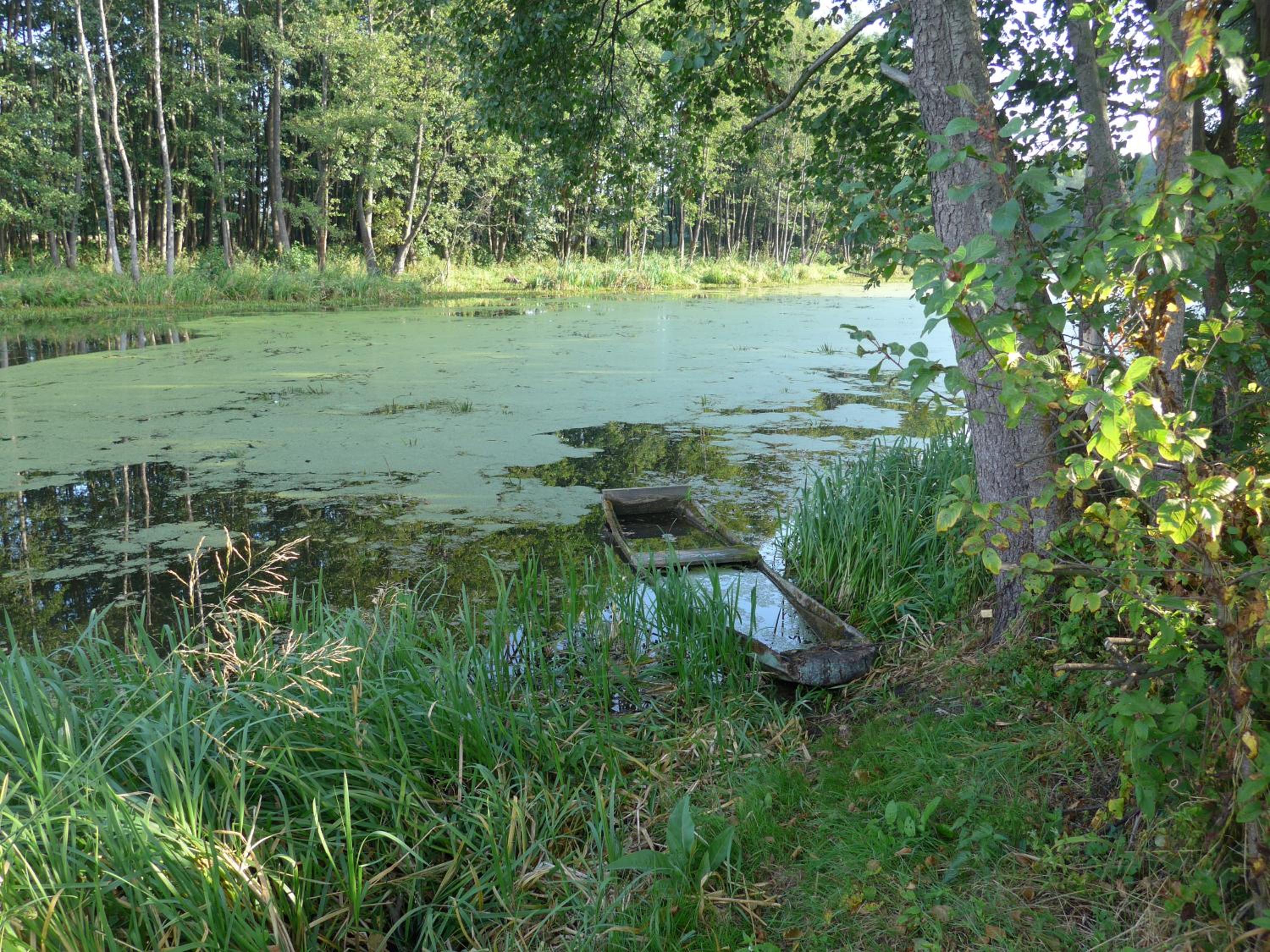 Photo 52